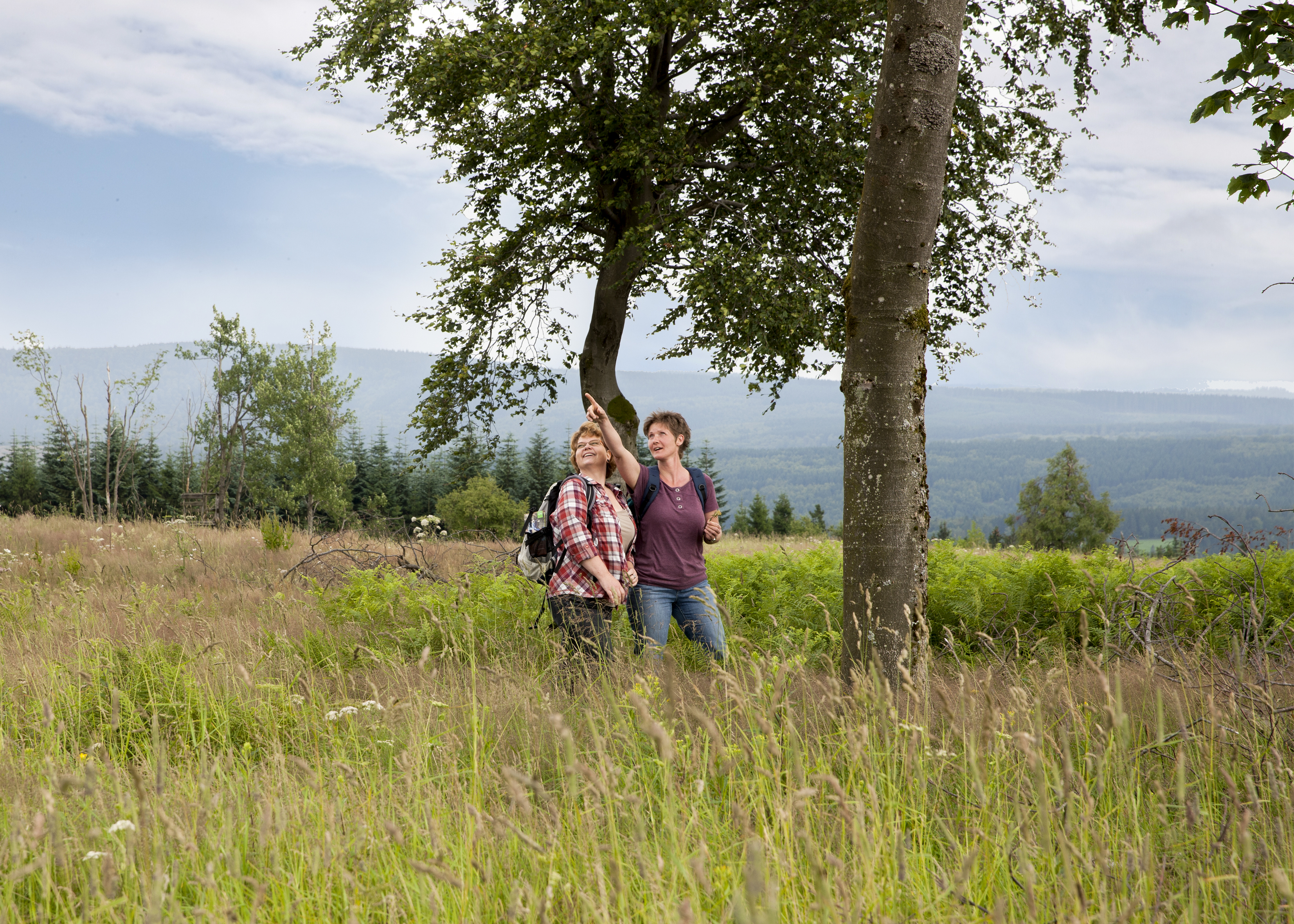 Hoch hinaus(c)_Sauerland-Tourismus_Steffi Rost.jpg