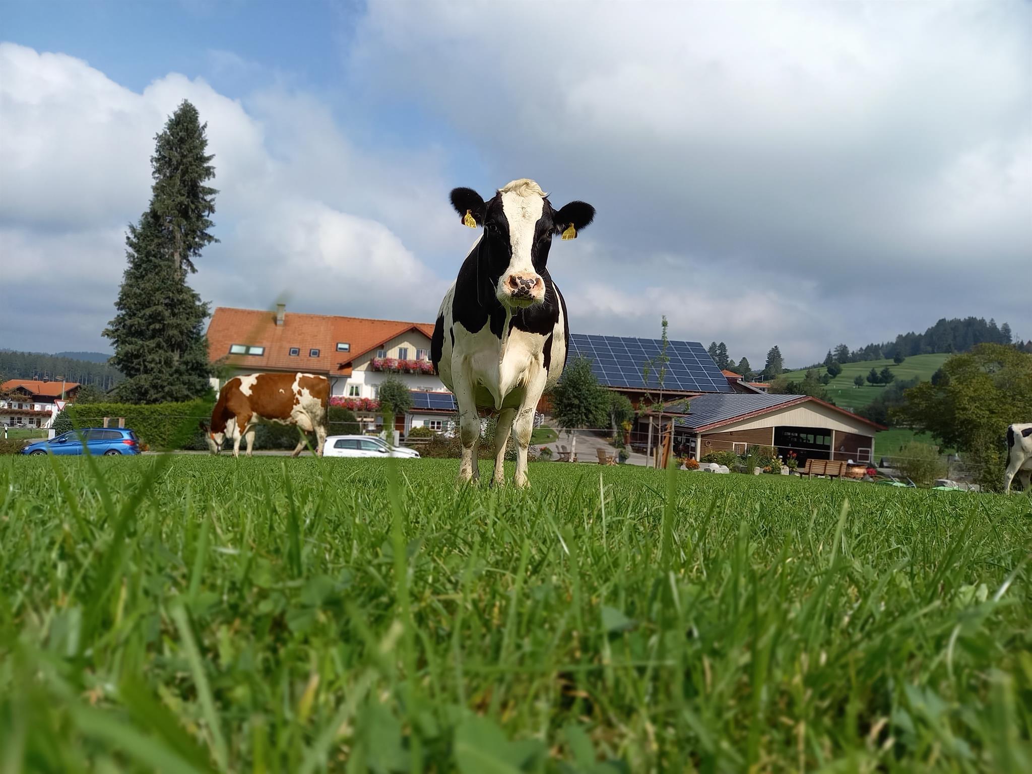 Hofführung auf dem Schädlerhof