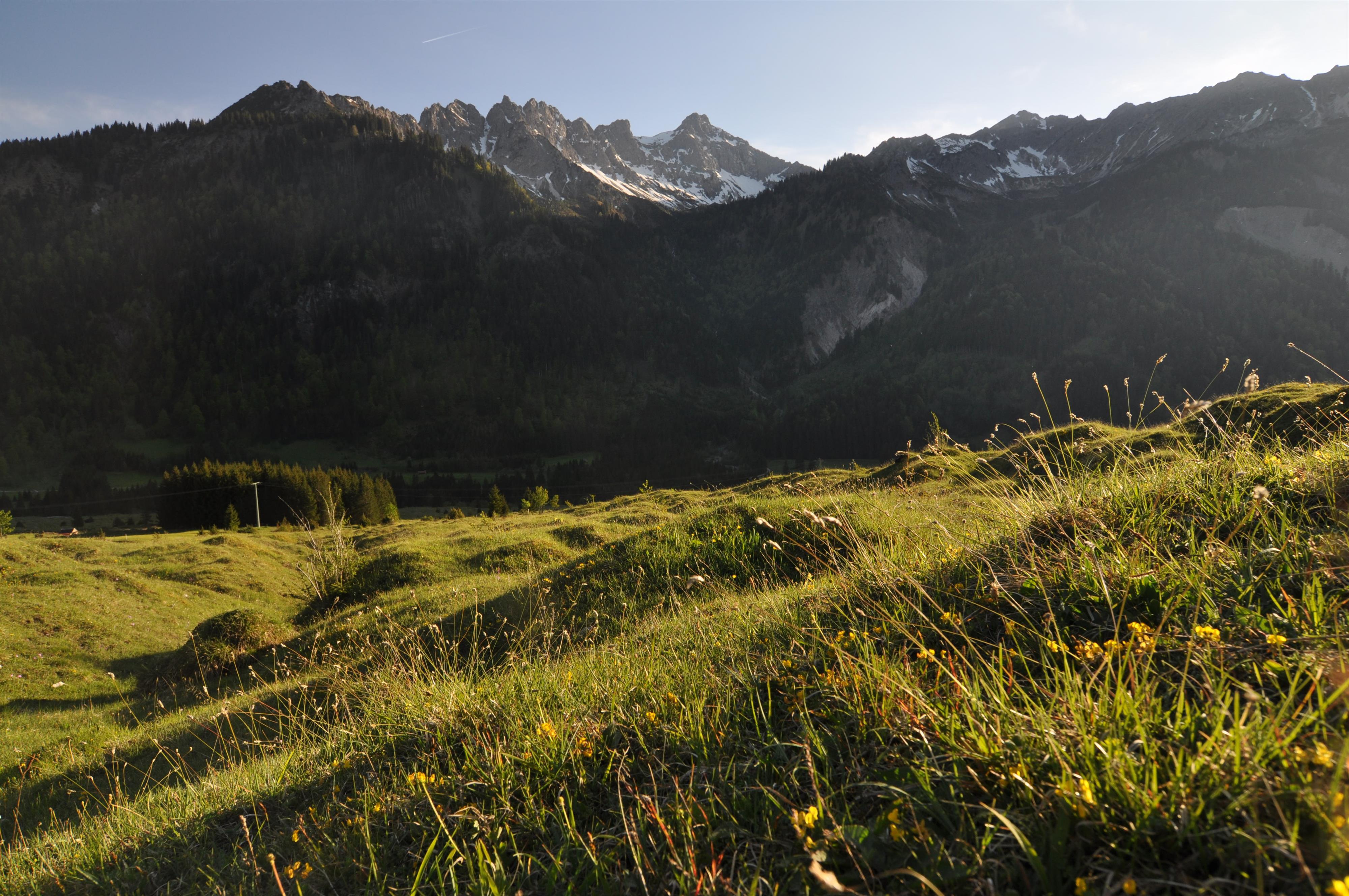 Blumenwanderung Bad Hindelang