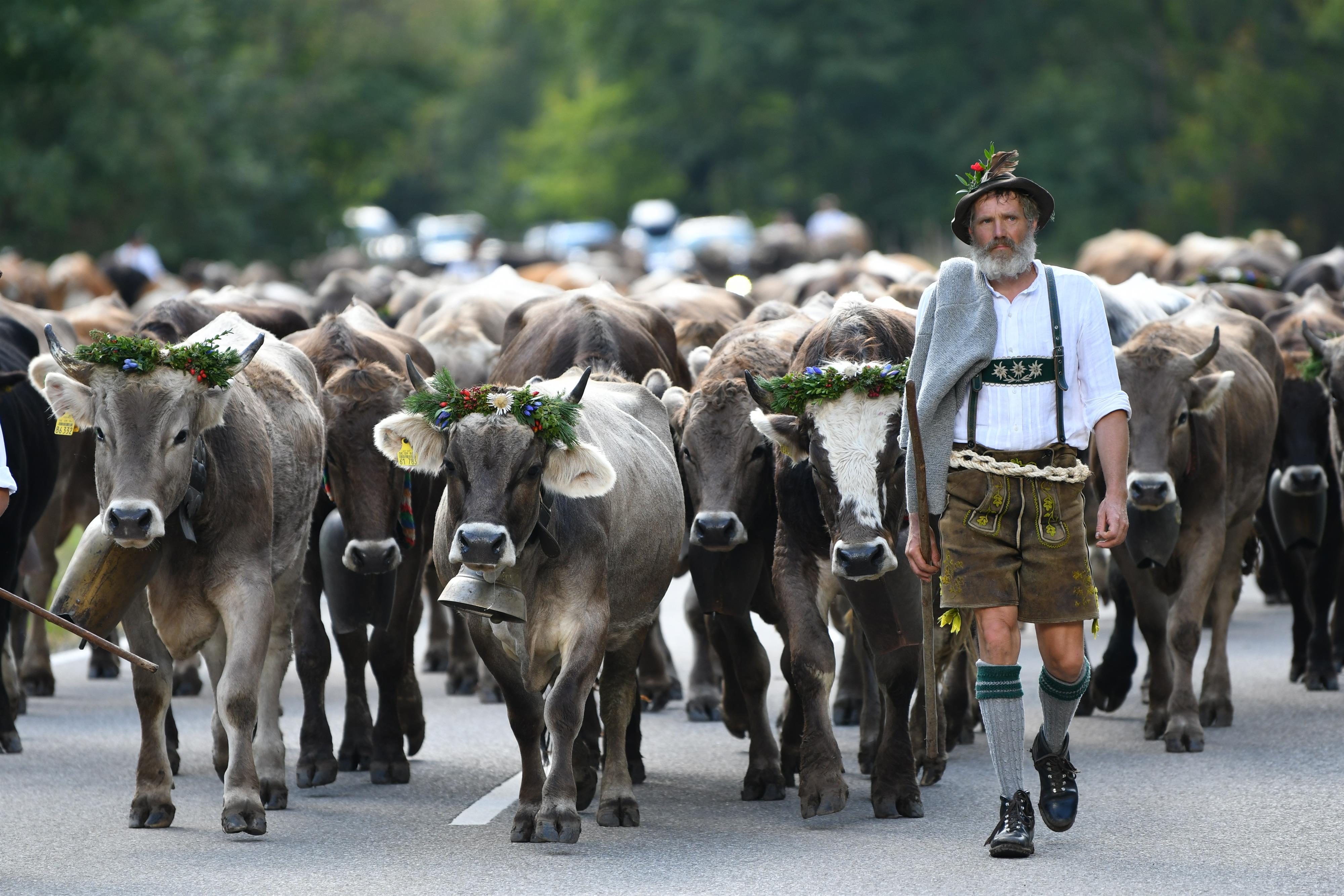 Wanderung zum Viehscheid Bad Hindelang