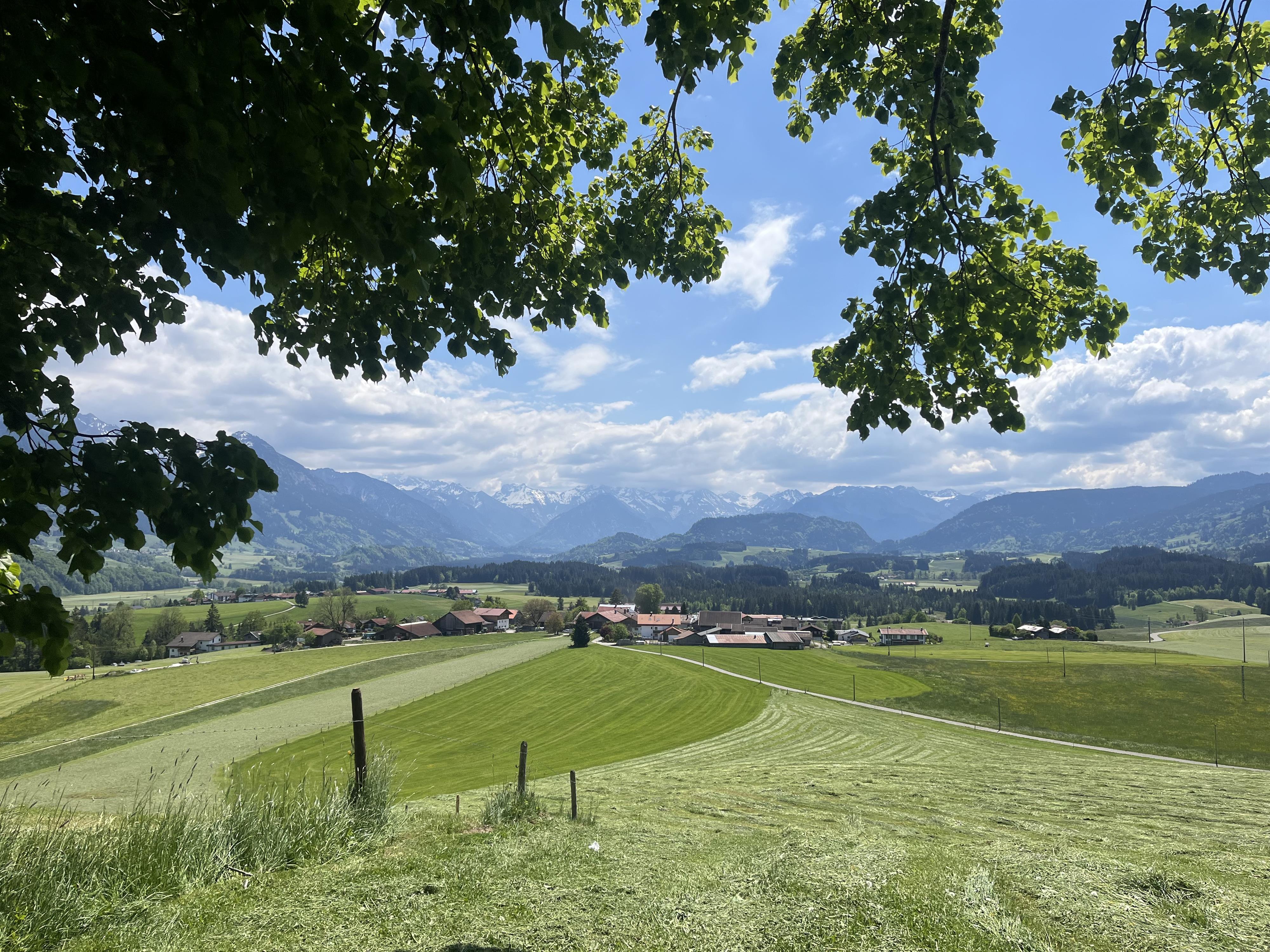 Ausblick Wittelsbacher Höhe