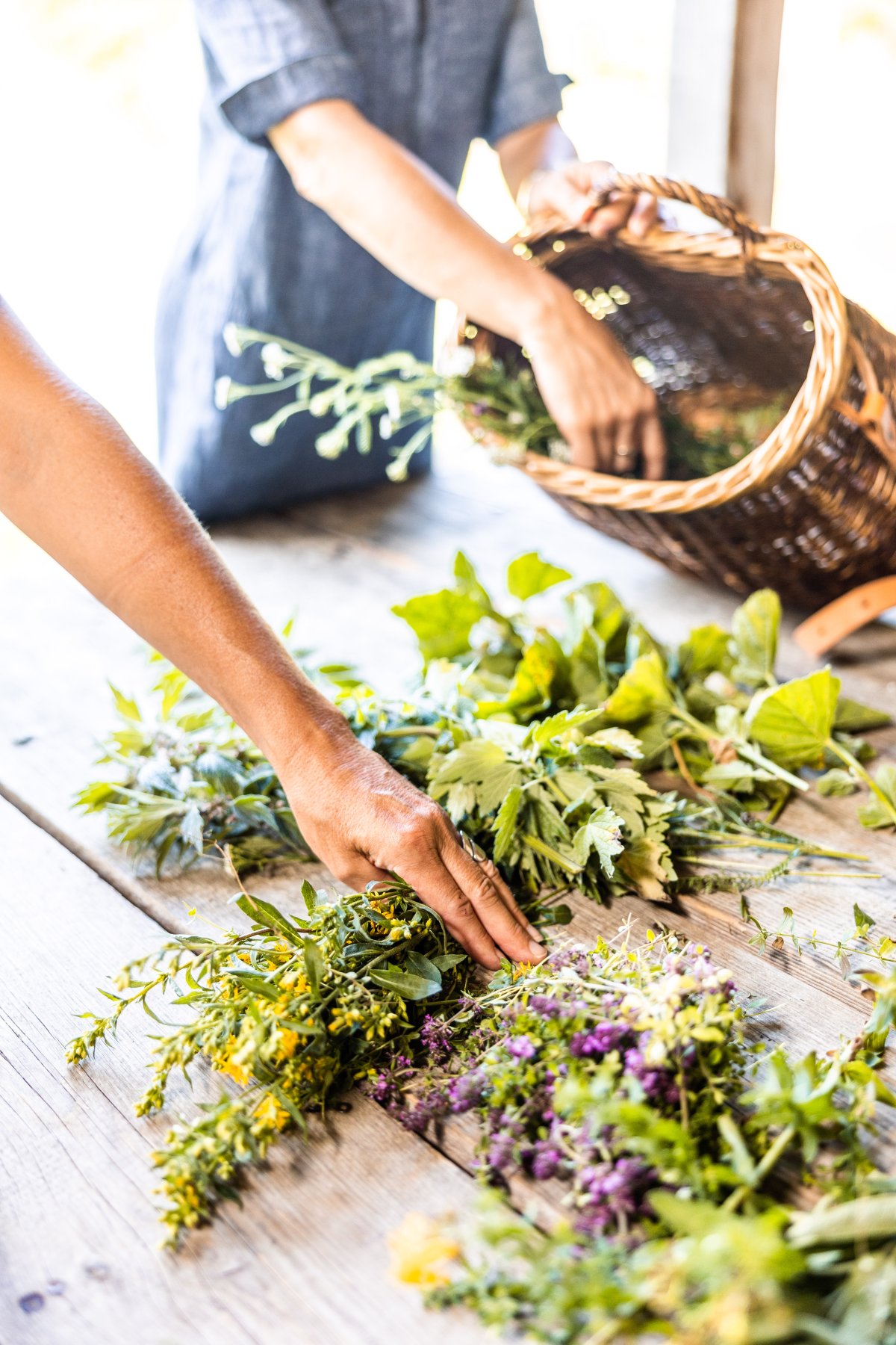 Lra-05.09.2022 fs22-192