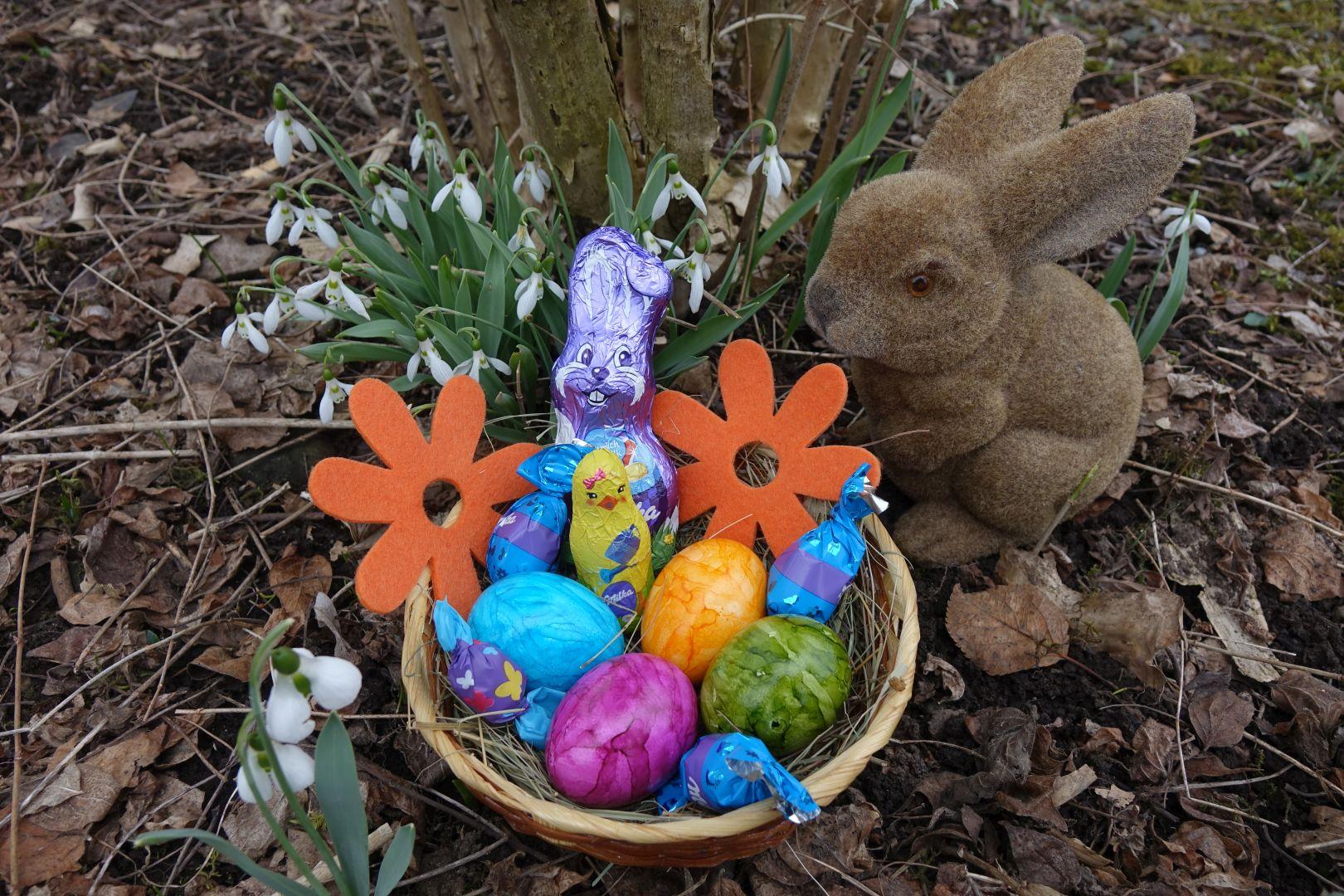 Osterprogramm für Kinder