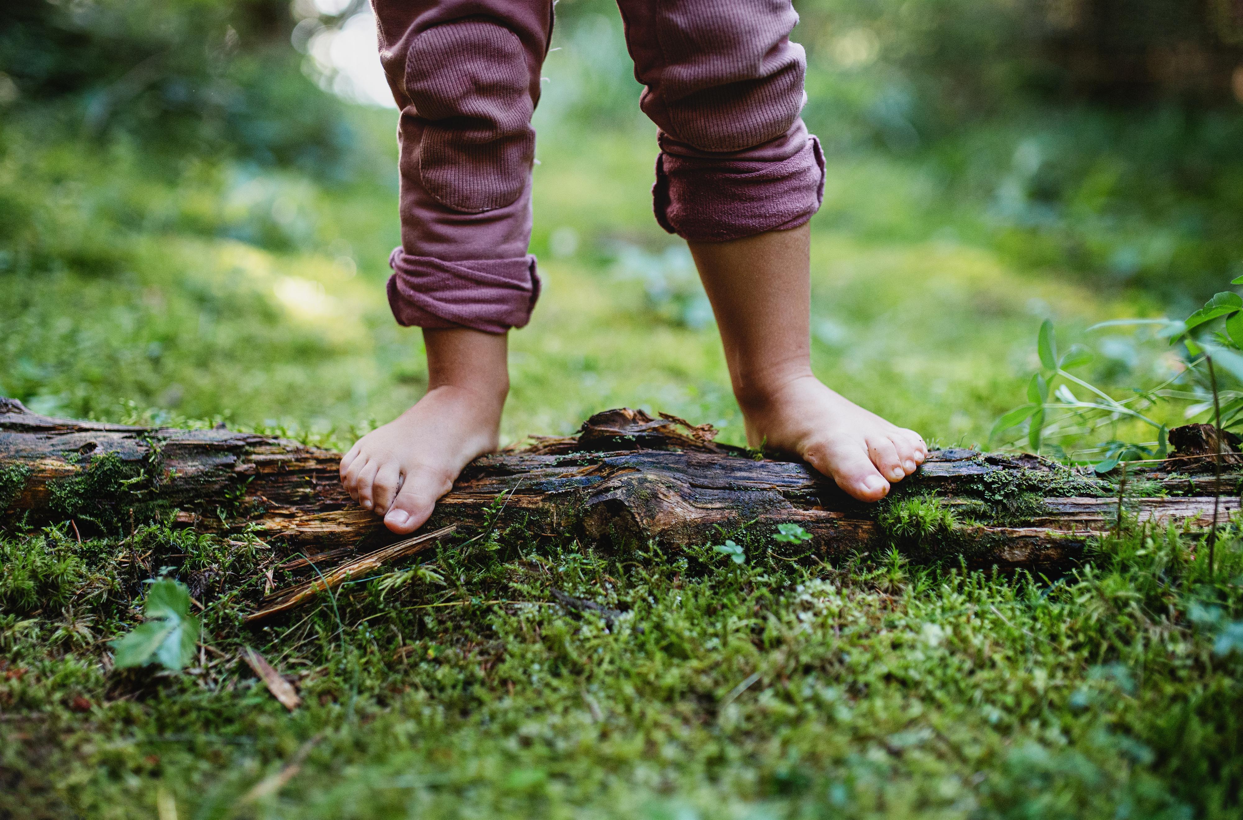 Waldzeit für Kinder und Familien
