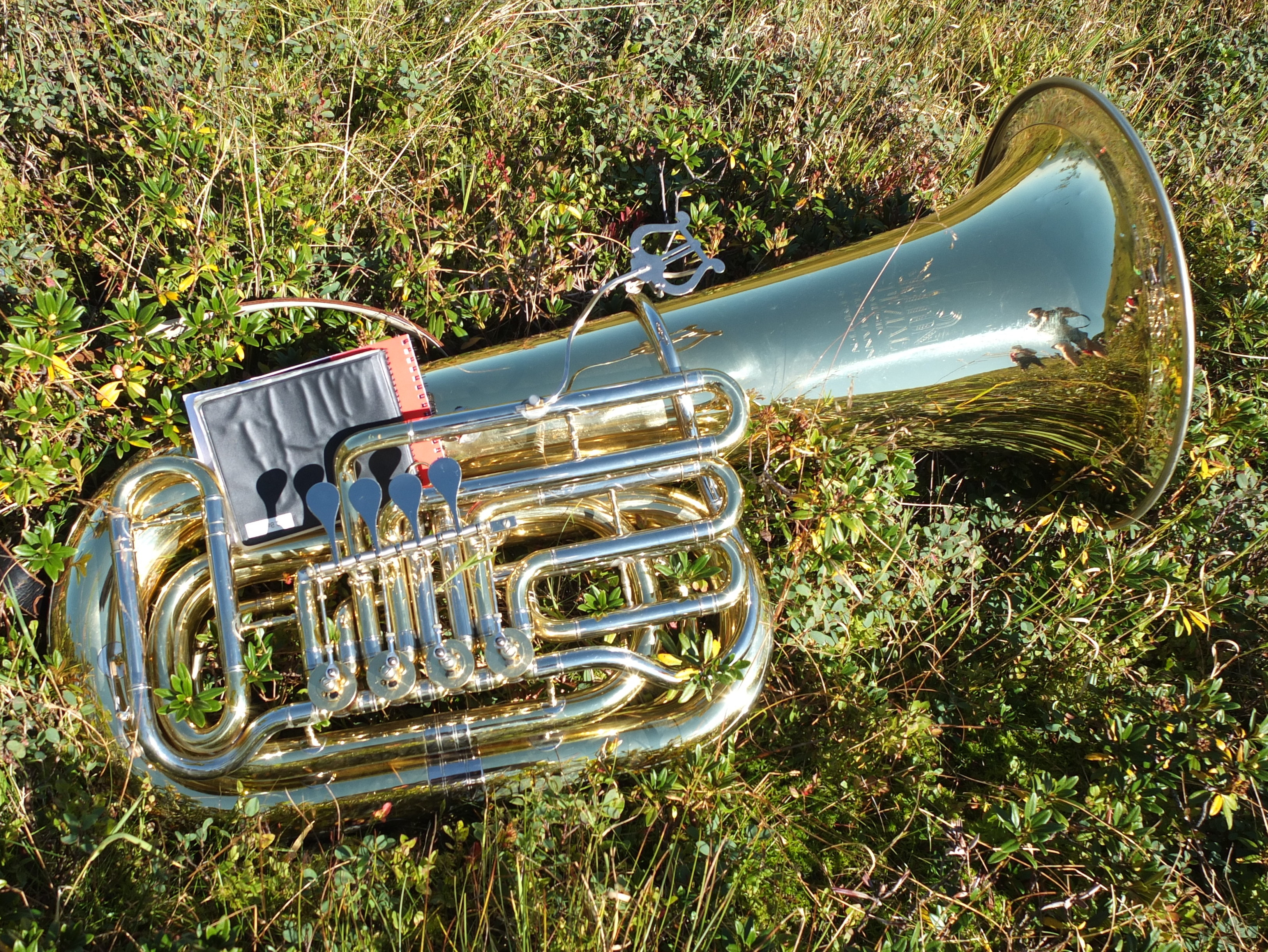 Pressefoto Tuba