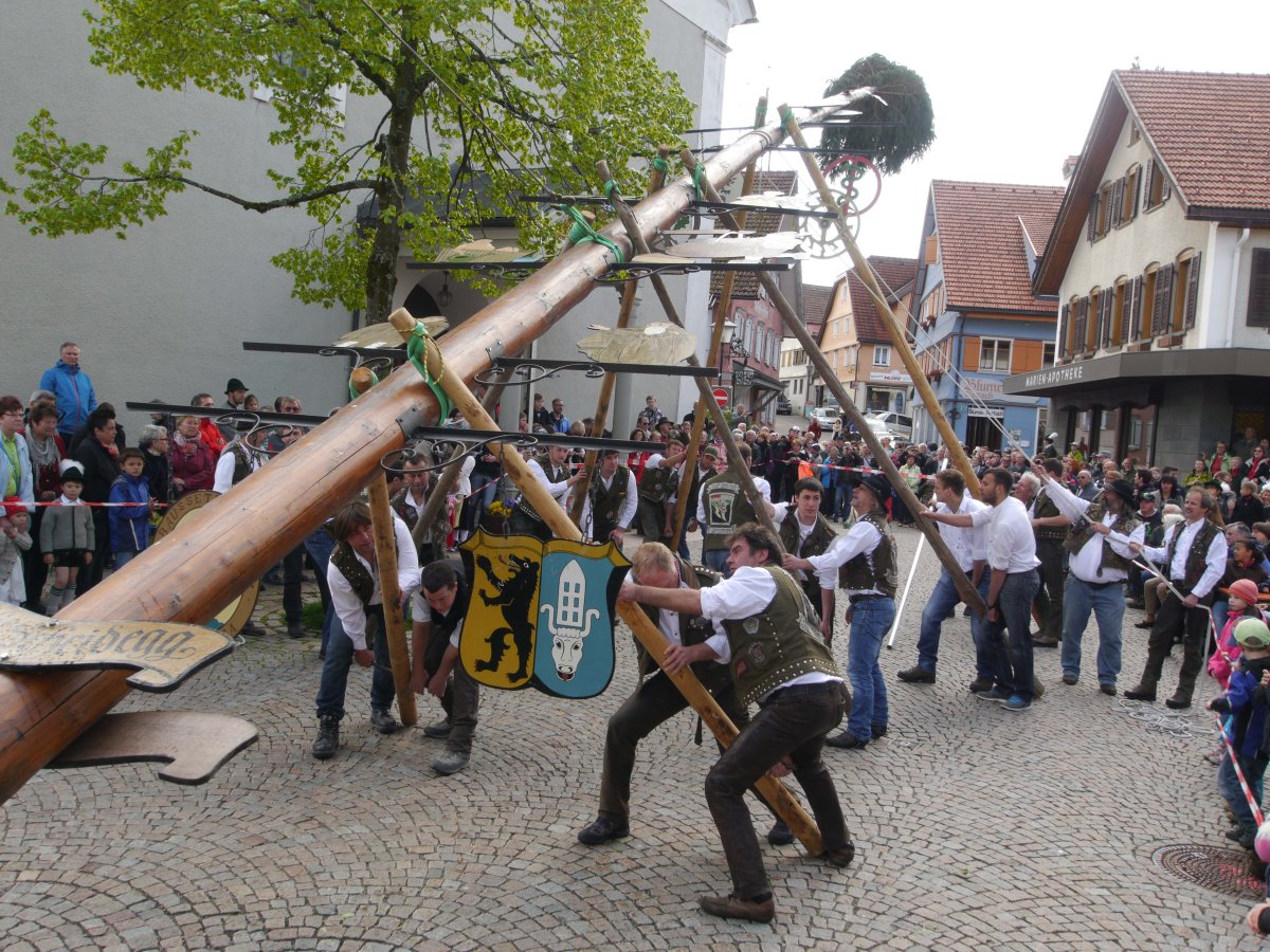 Scheidegg Maibaum14 90076