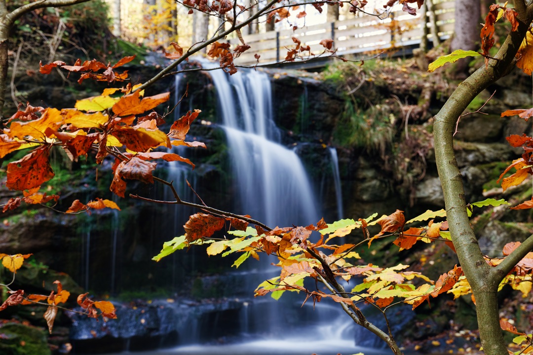 Speckbach Wasserfall
