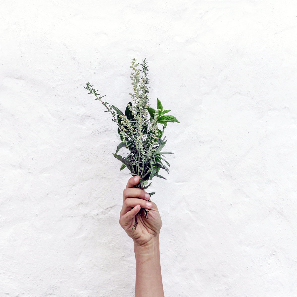 Foto_NordWood-Themes, Unsplash_quadrat