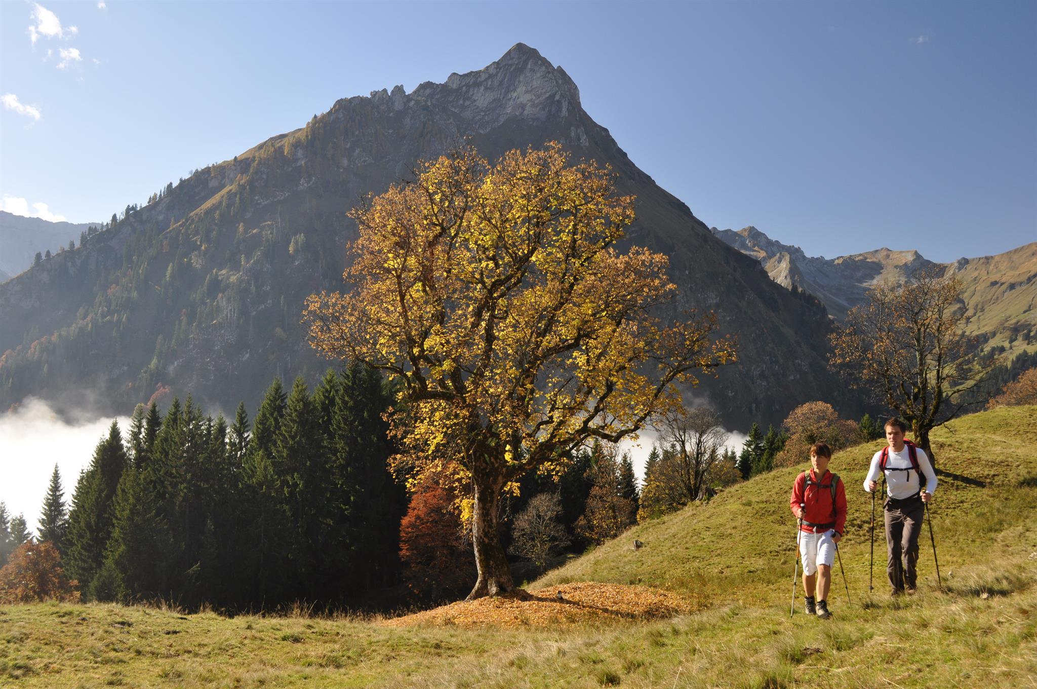 Wanderung Schwarzenberghütte Bad Hindelang