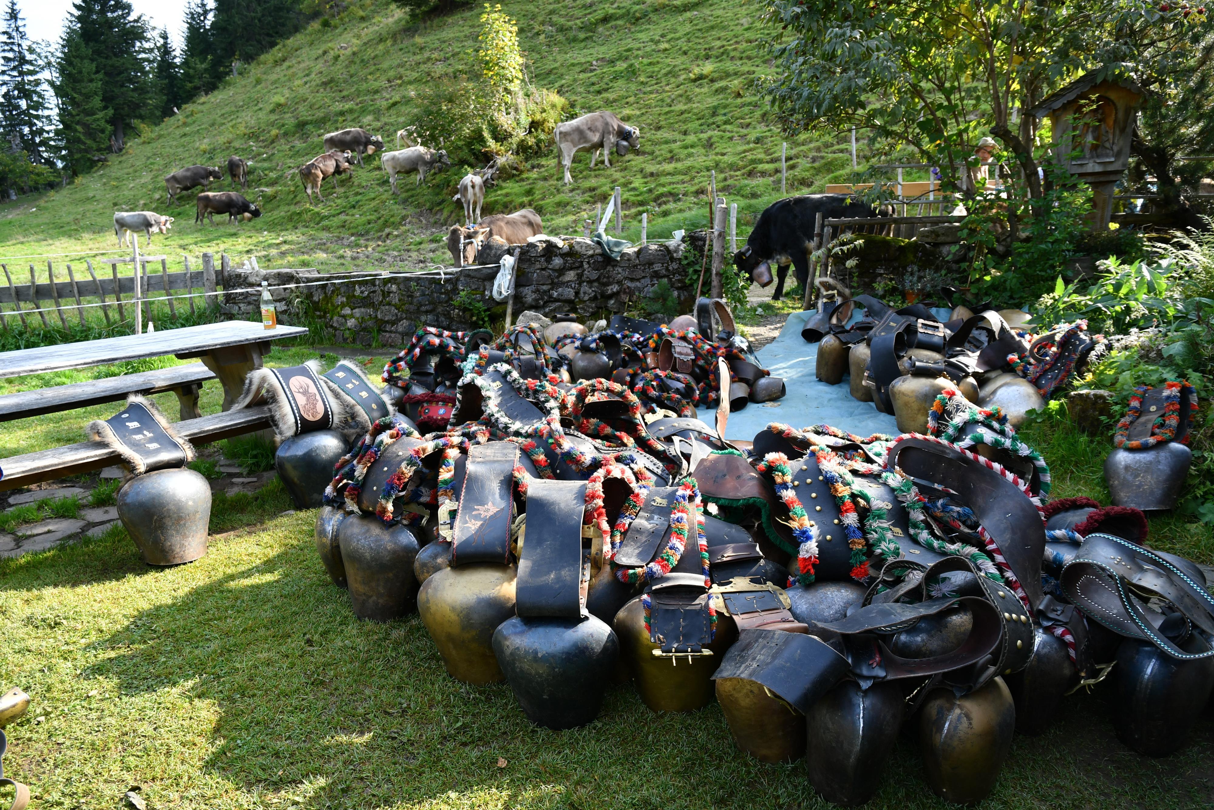 Schellen Bad Hindelang