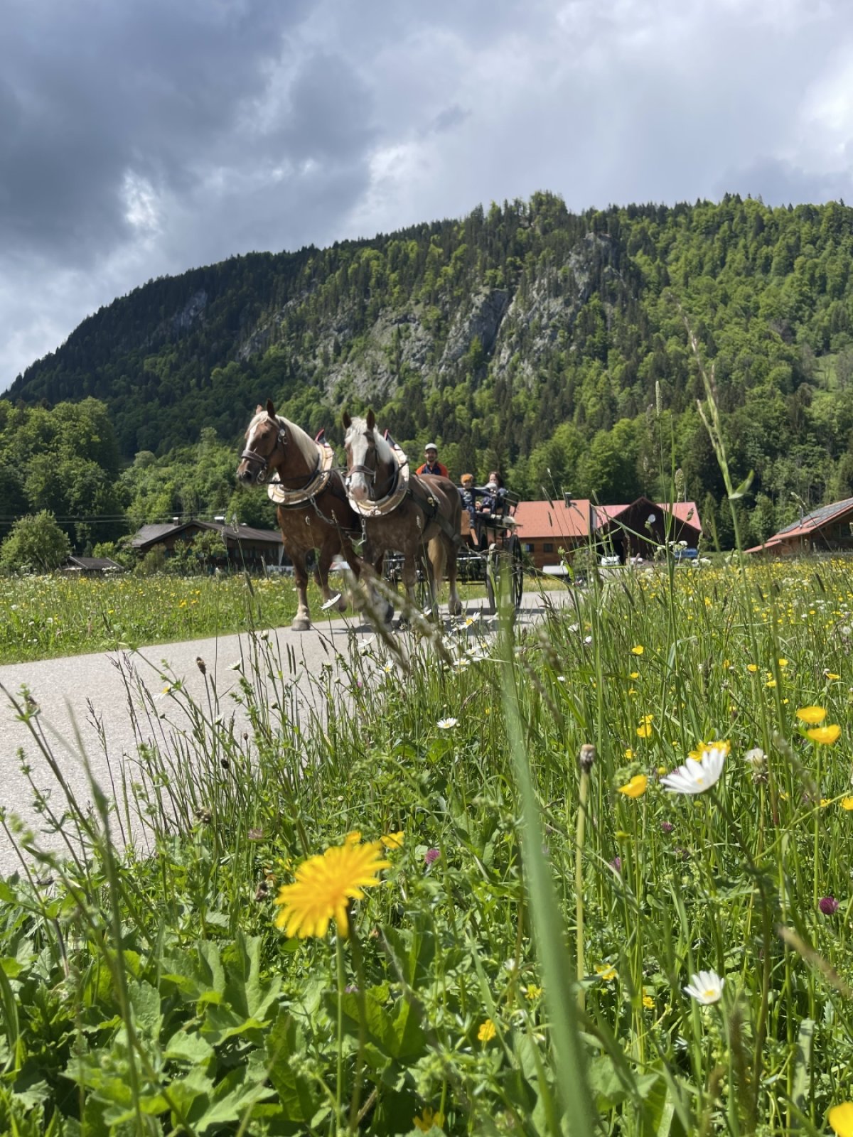 Frühlingsfahrt durch's Breitachtal