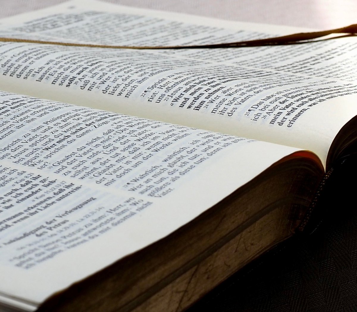 Bibel by Gabi Fleischmann, in: pfarrbriefservice.de