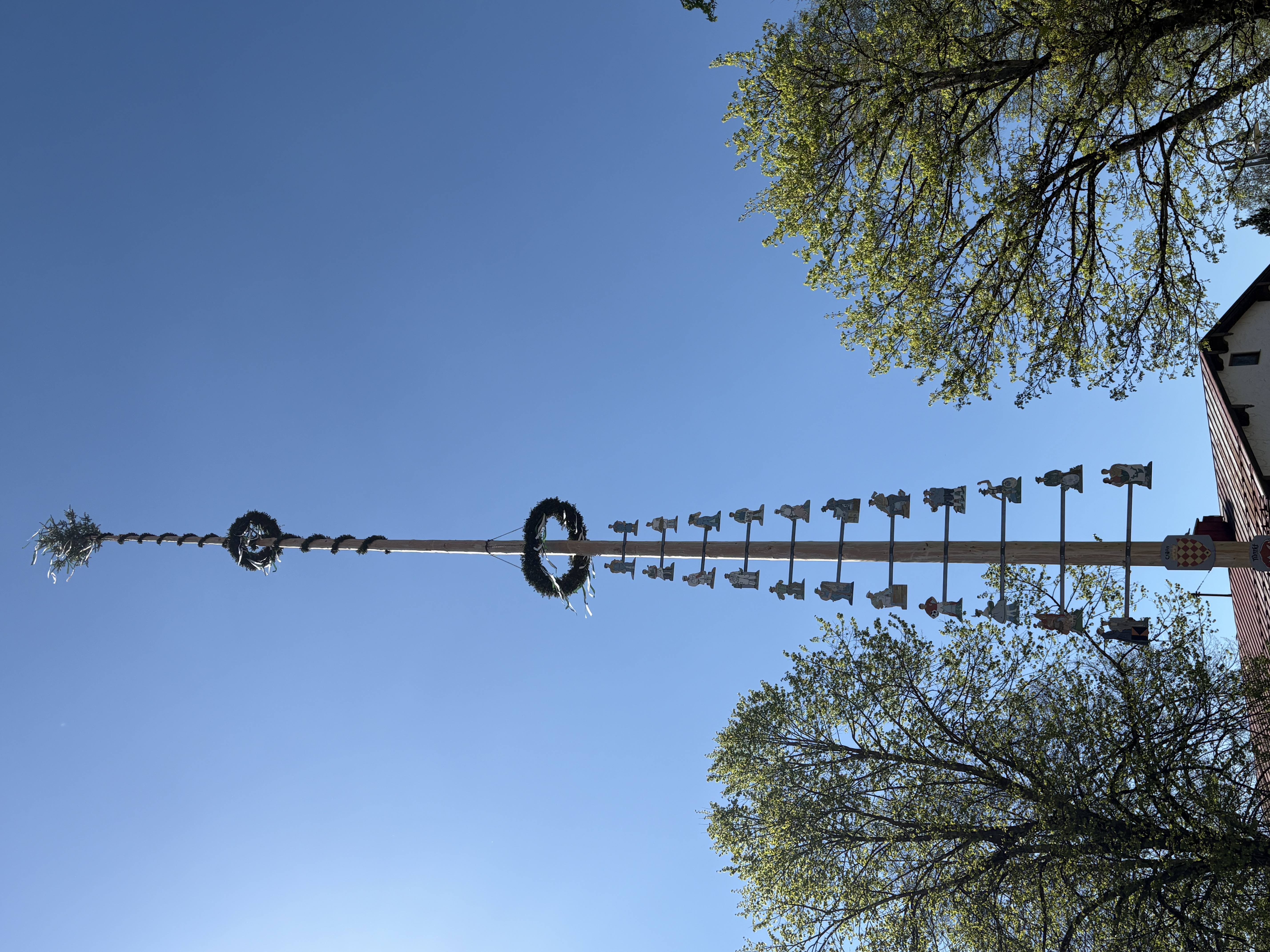 Maibaum 2025.jpg