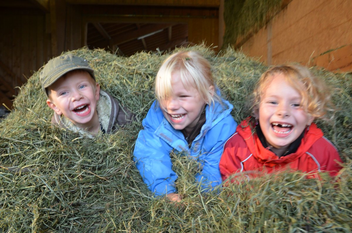 Scheidegg KinderHeu 2966