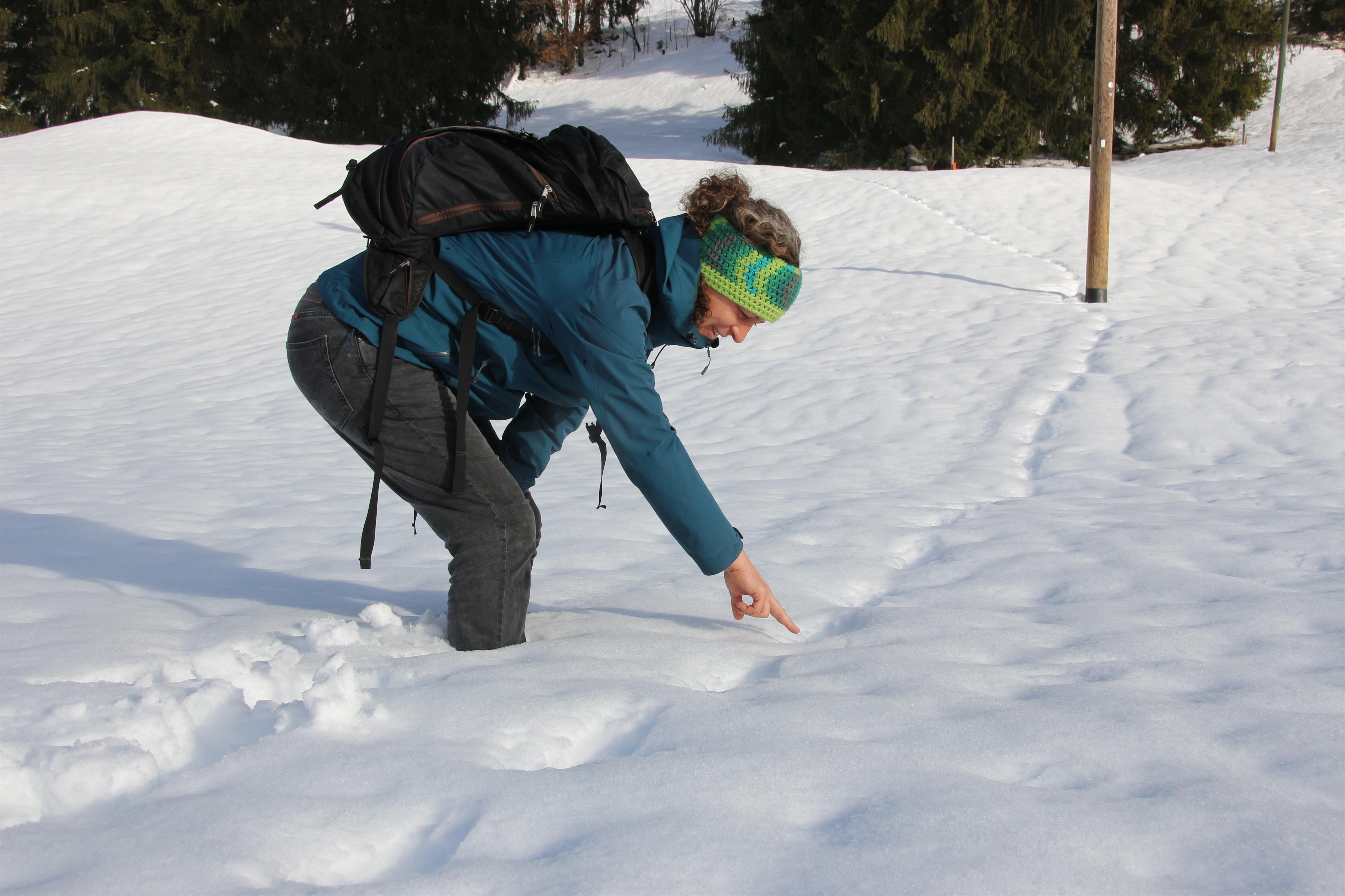 Winterwanderung LBV Hindelang Winterwanderung LBV Hindelang