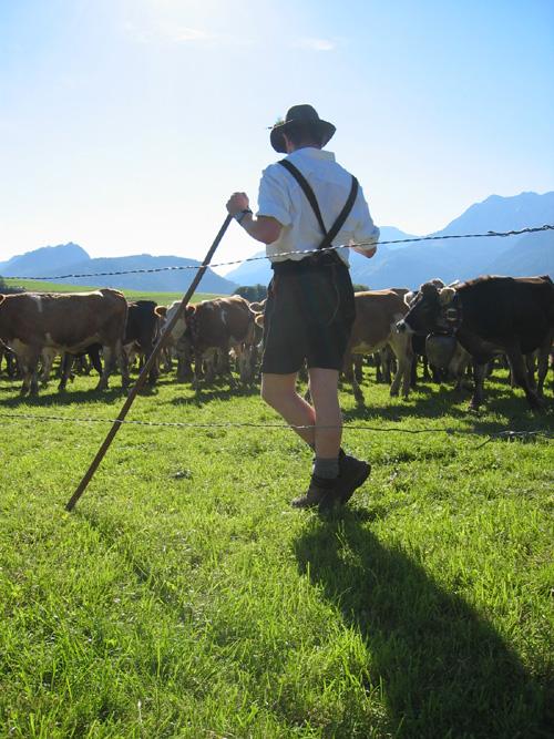 Viehscheid Hirte Viehscheid Hirte
