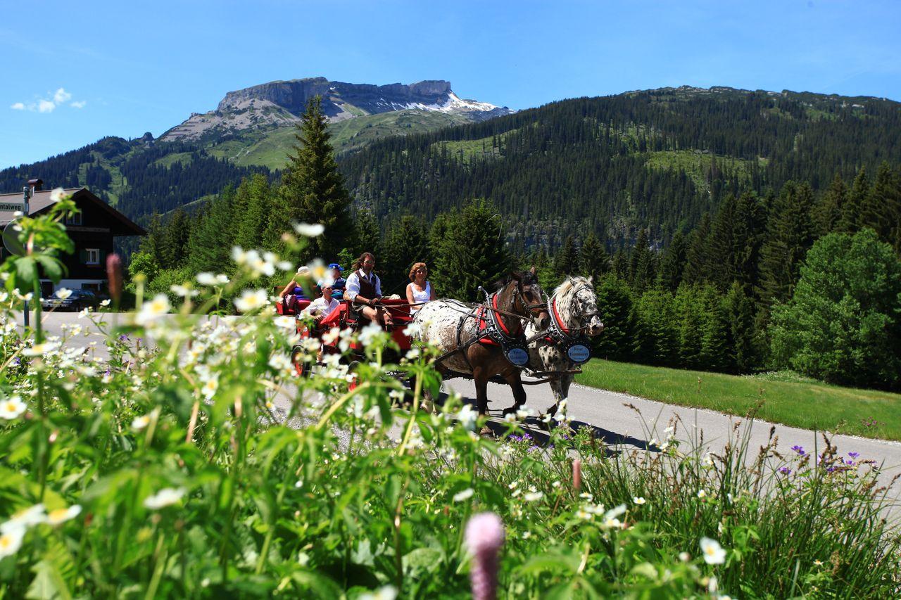 Pferdekutschenfahrten Hammerer Hirschegg Sommer