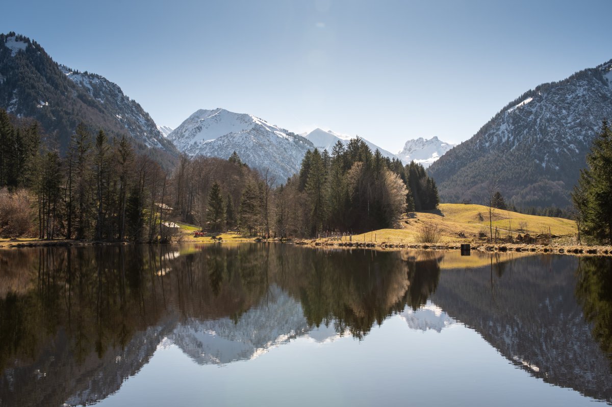 Spiegelung im Moorweiher