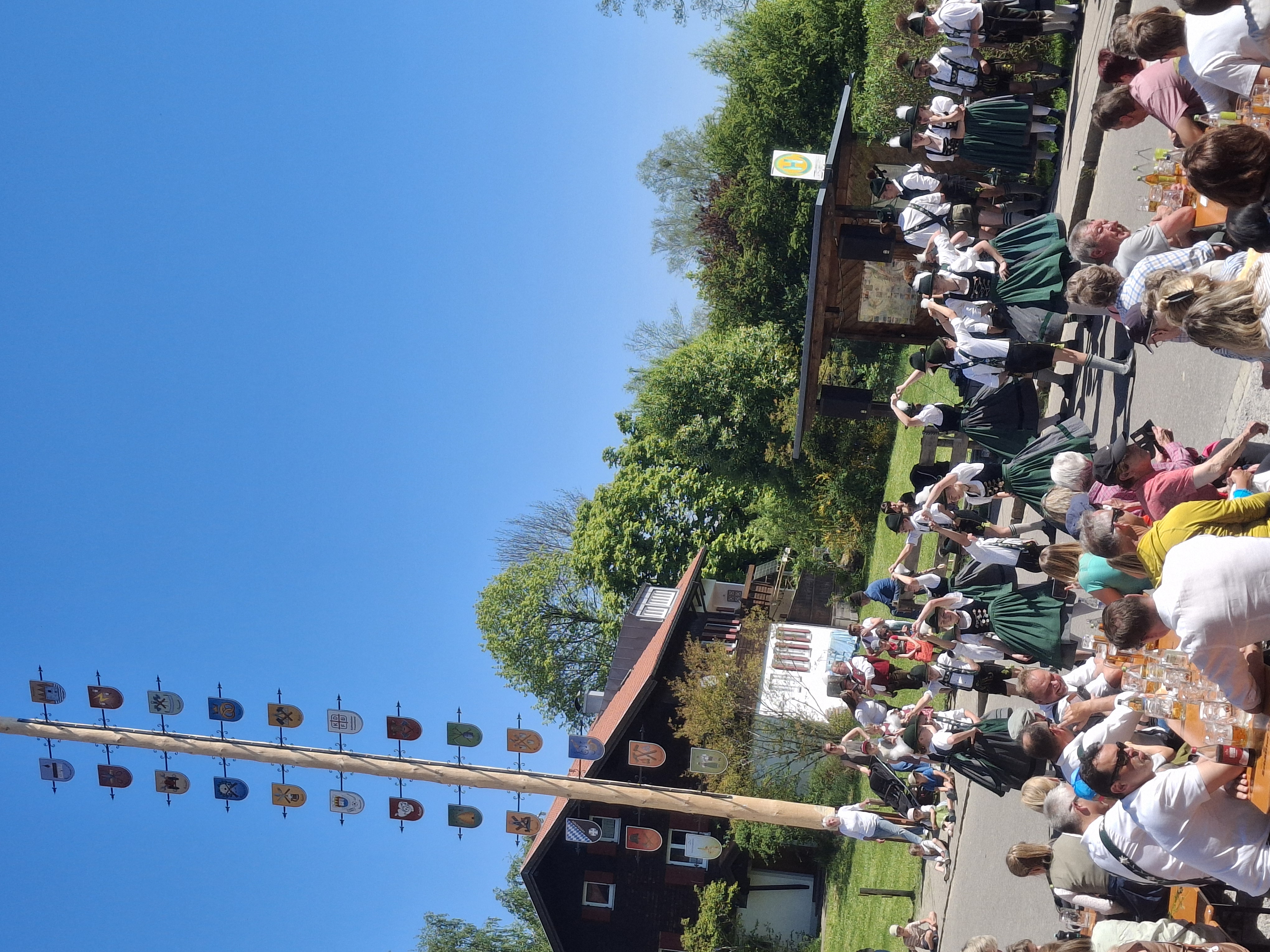 Maibaum 20250501_120815.jpg