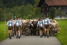 Viehscheid.jpg