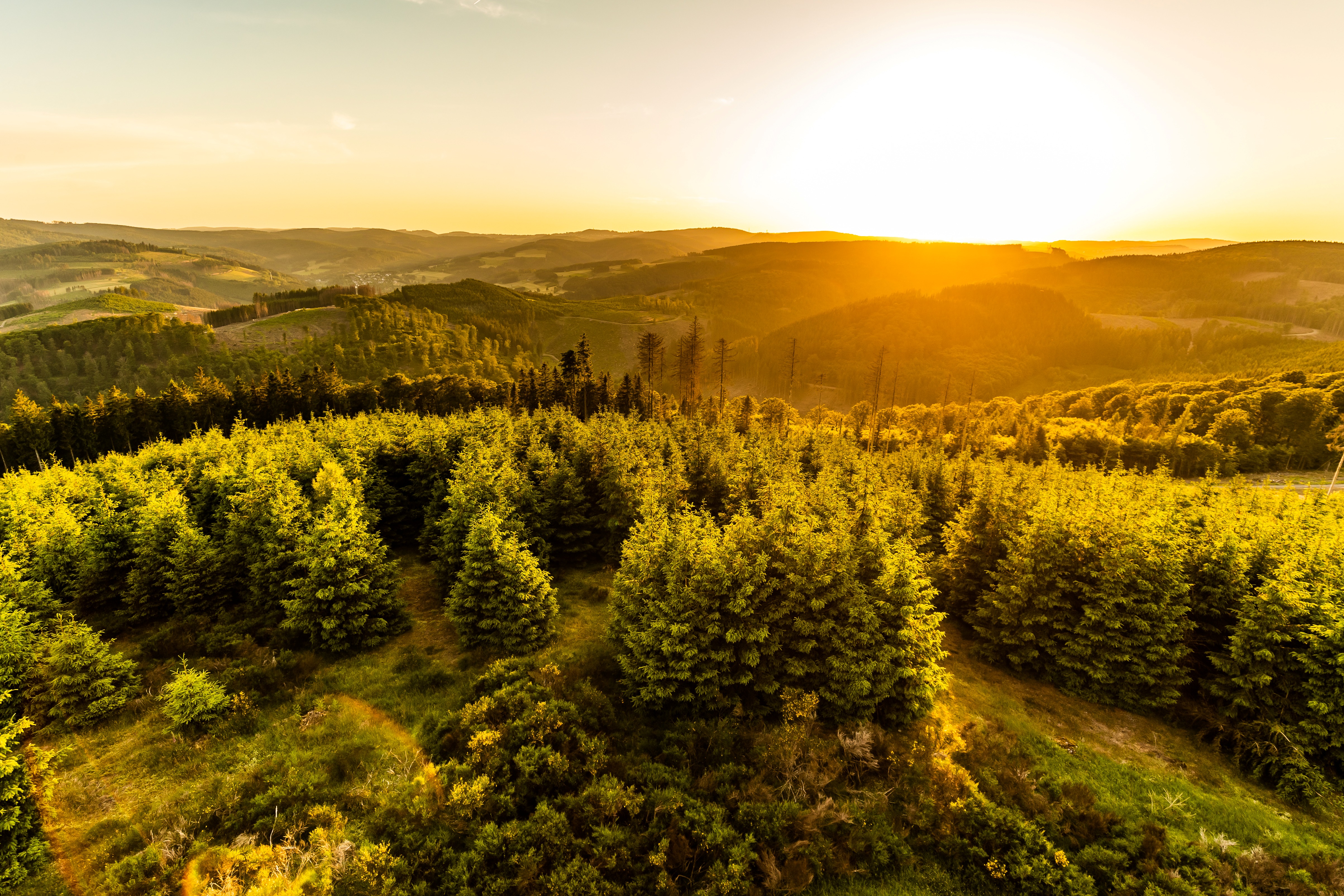 Wanderwoche 2026: Sundowner - Tour zur Brunftzeit