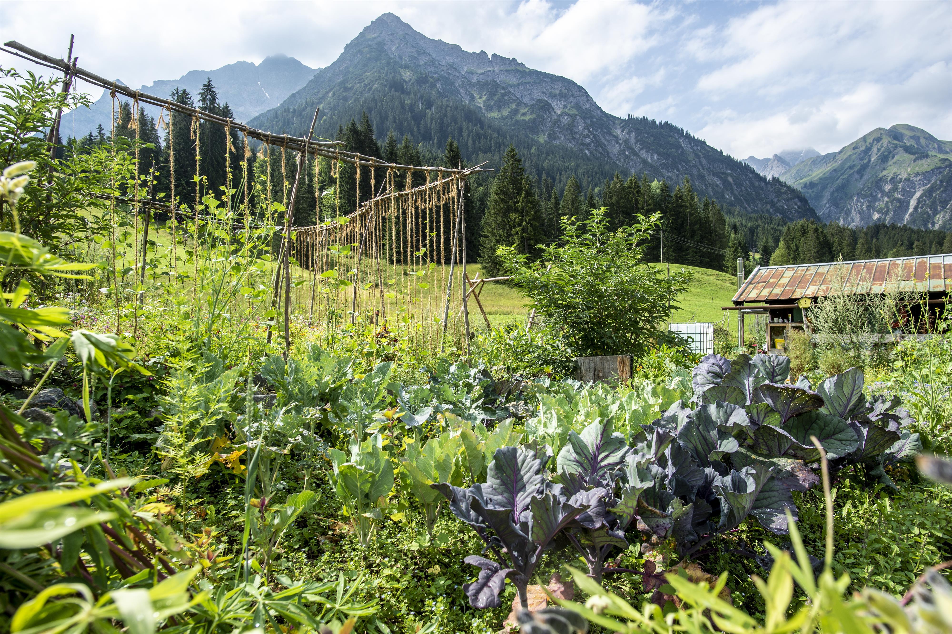 Führung durch den Permakulturgarten