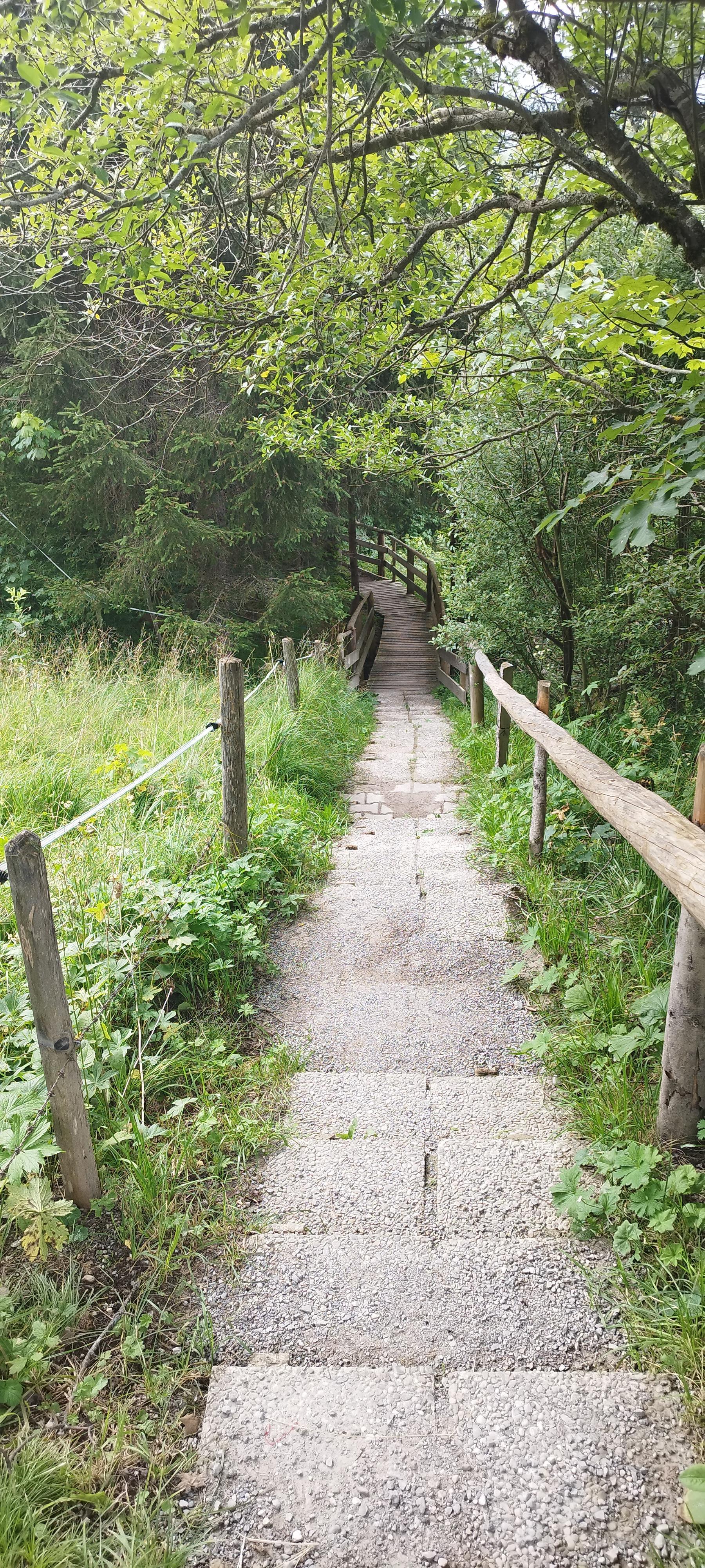 Weg zum Energieplatz Wildental Mittelberg Sommer