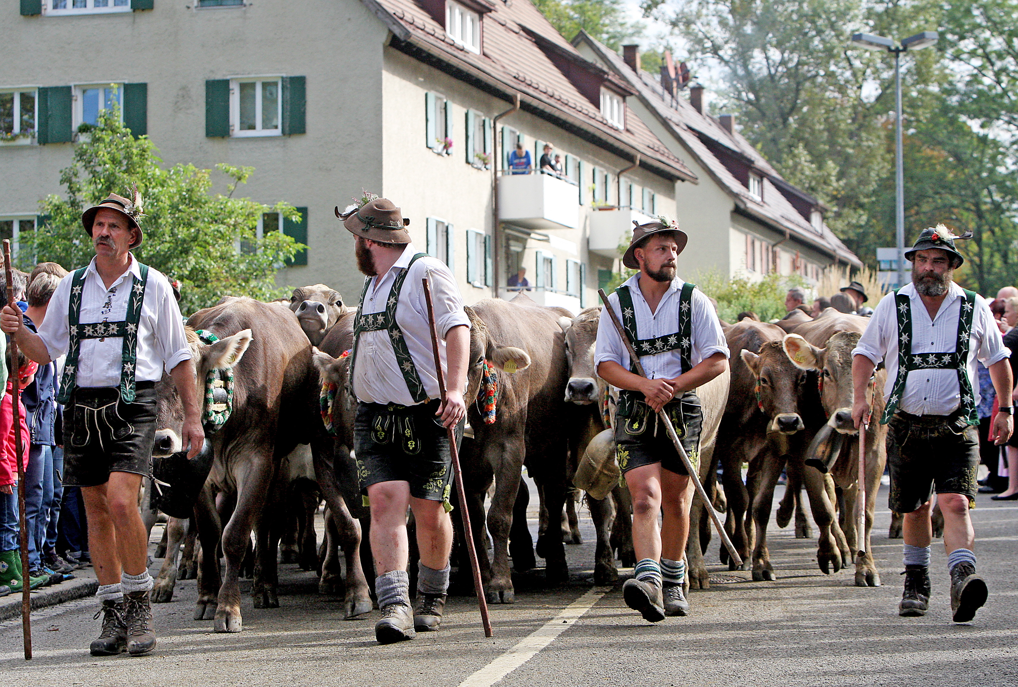 Immenstadt-Alpe-Starkatsgund003.JPG