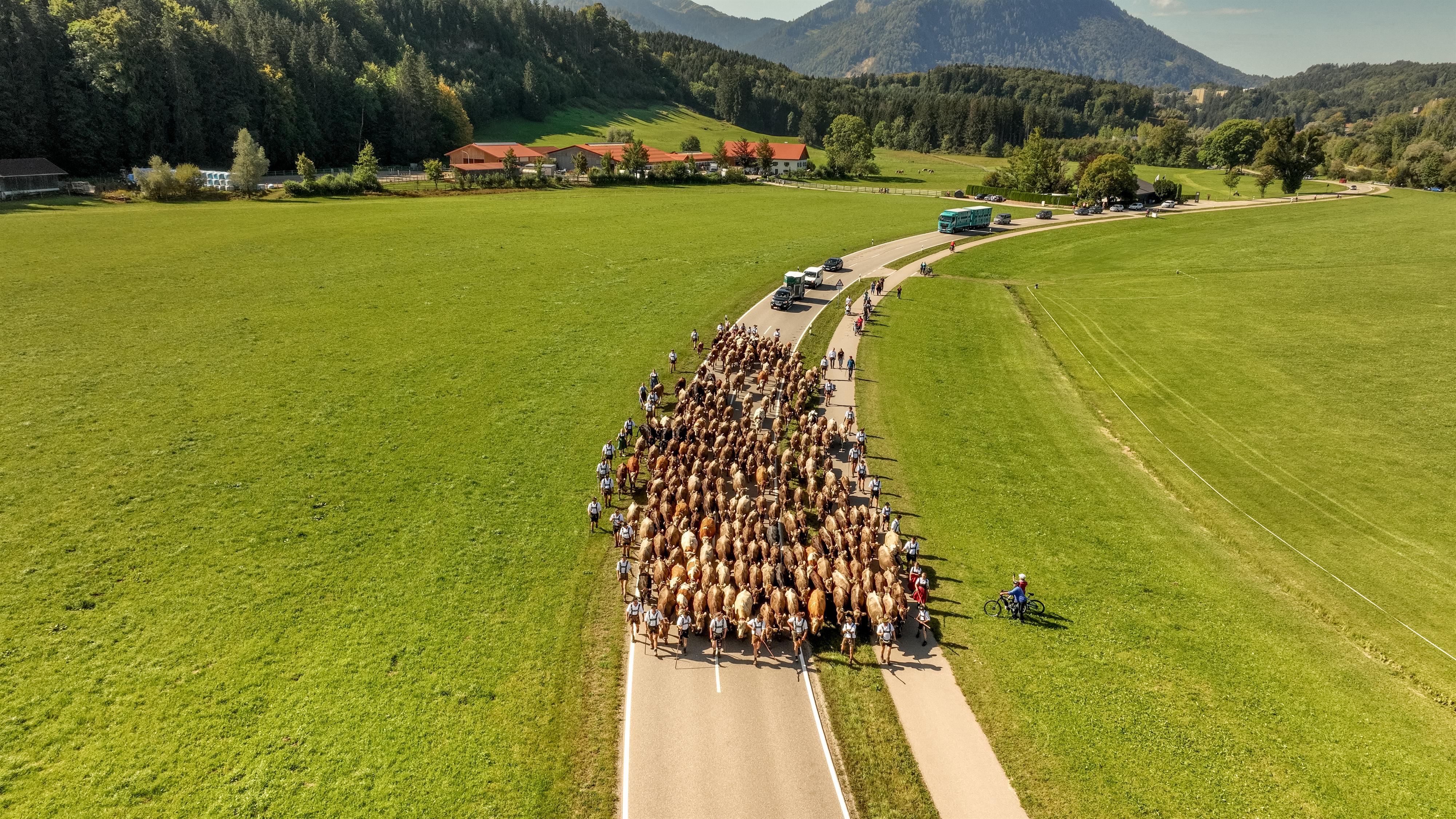 Viehscheid Untermaiselstein Viehscheid Untermaiselstein