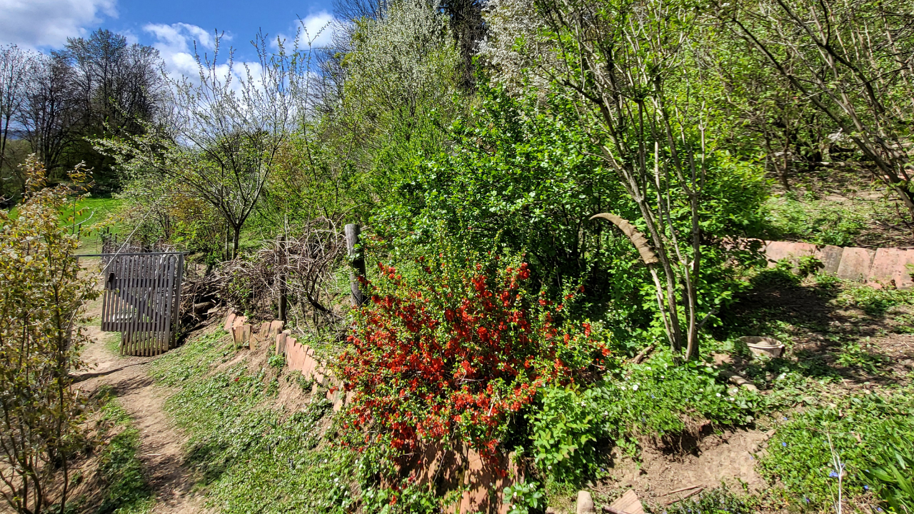 Obstwaldgarten_2