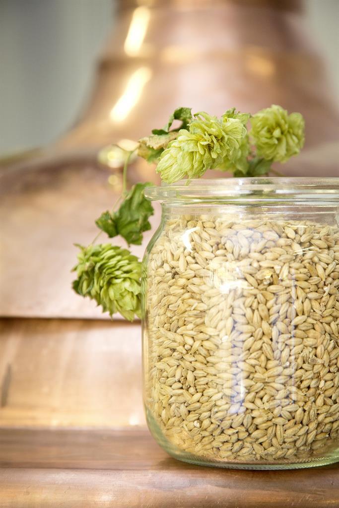 Hopfen Hopfen