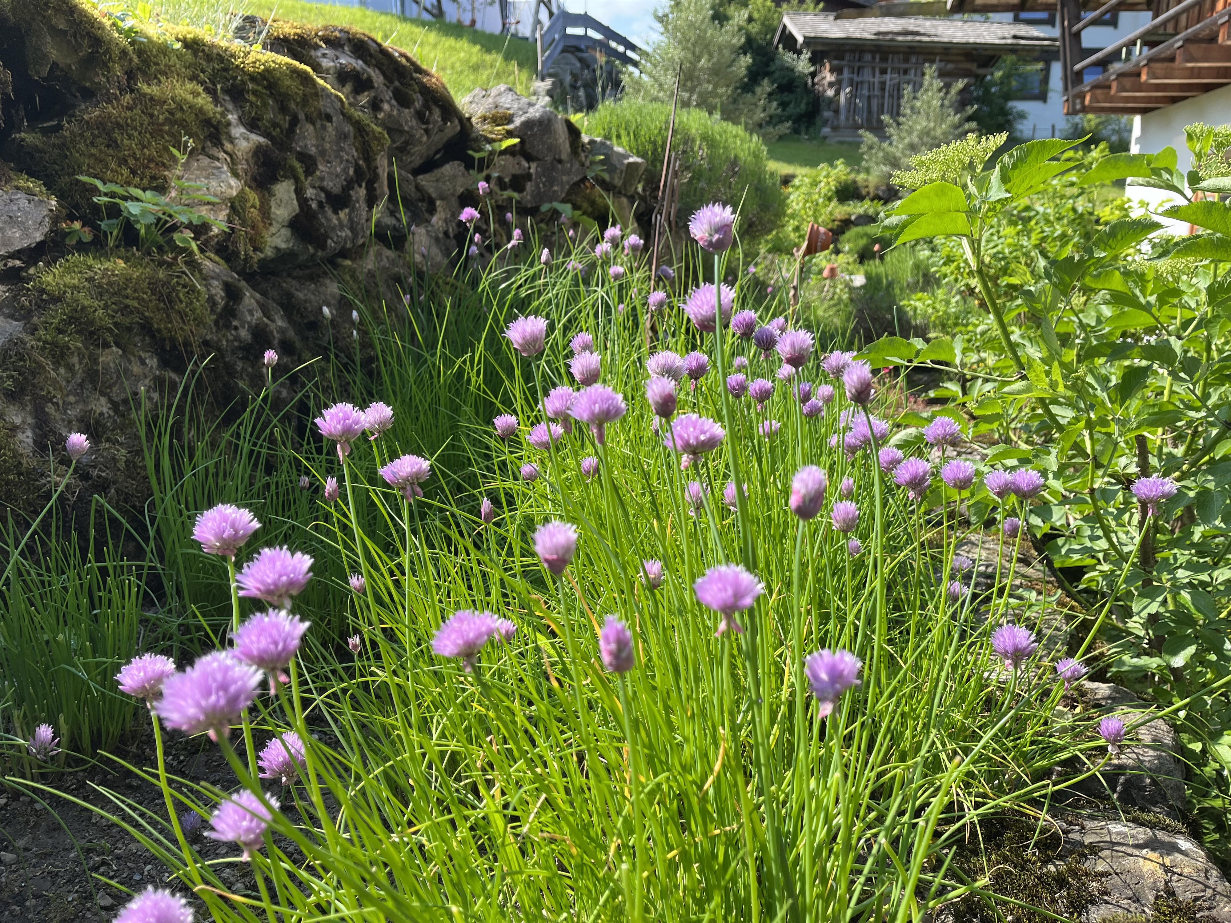 Kräutergaten Ofterschwang