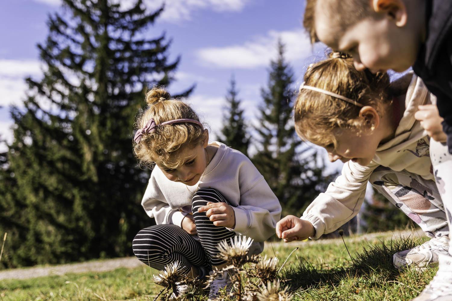 Spielerisch die Natur erkunden