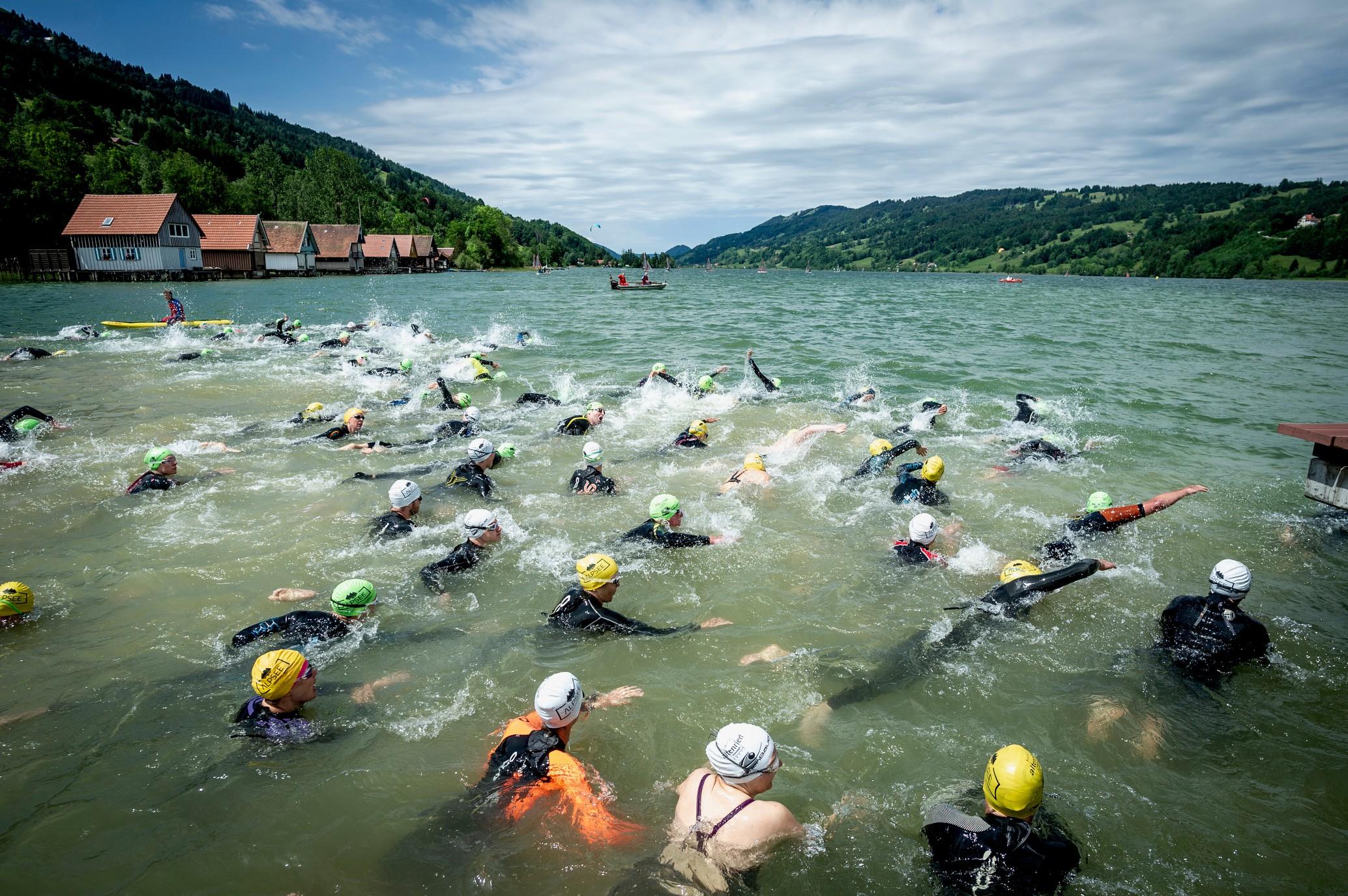 Alpseeschwimmen Alpseeschwimmen