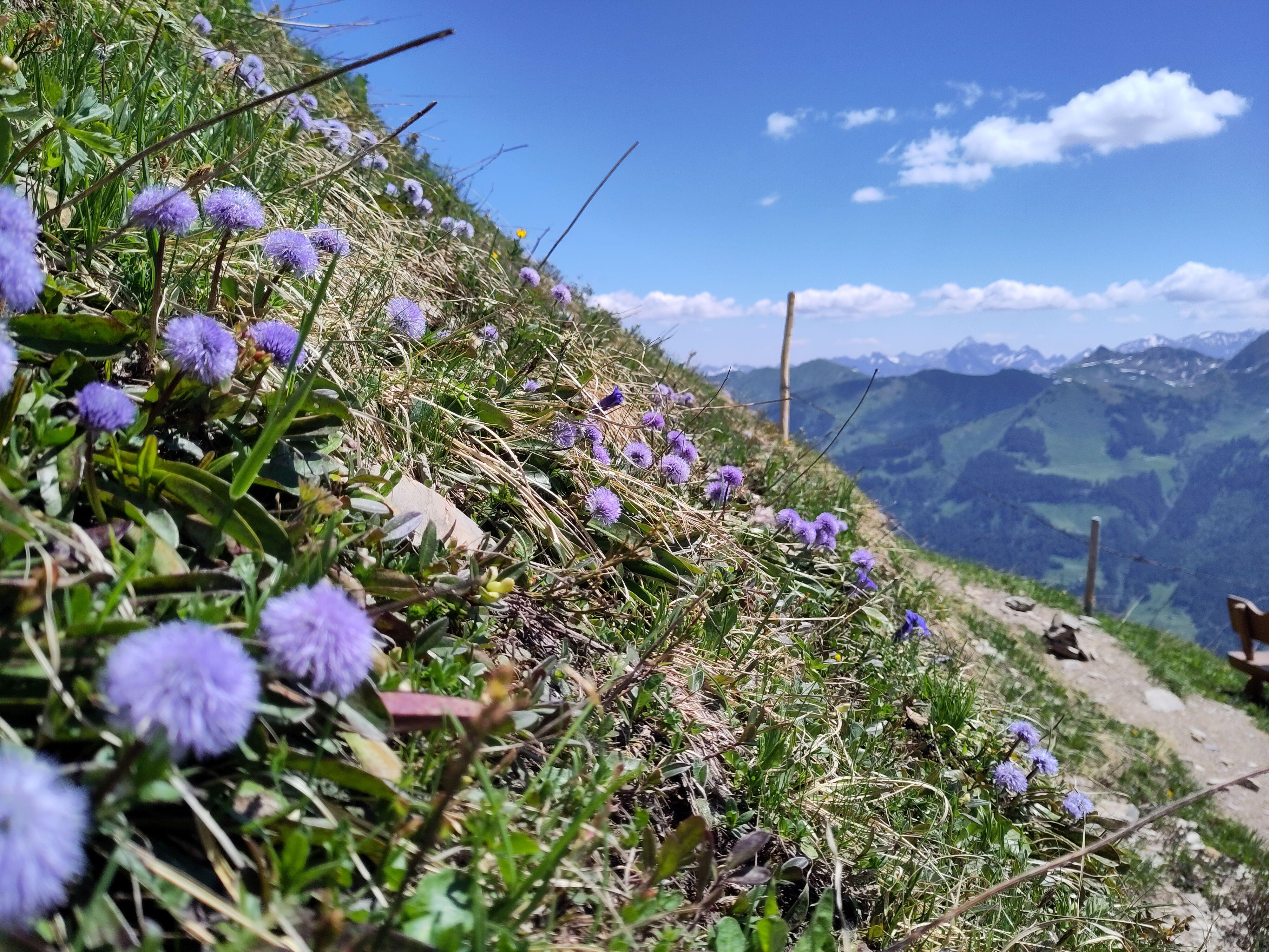 Alpgenuss