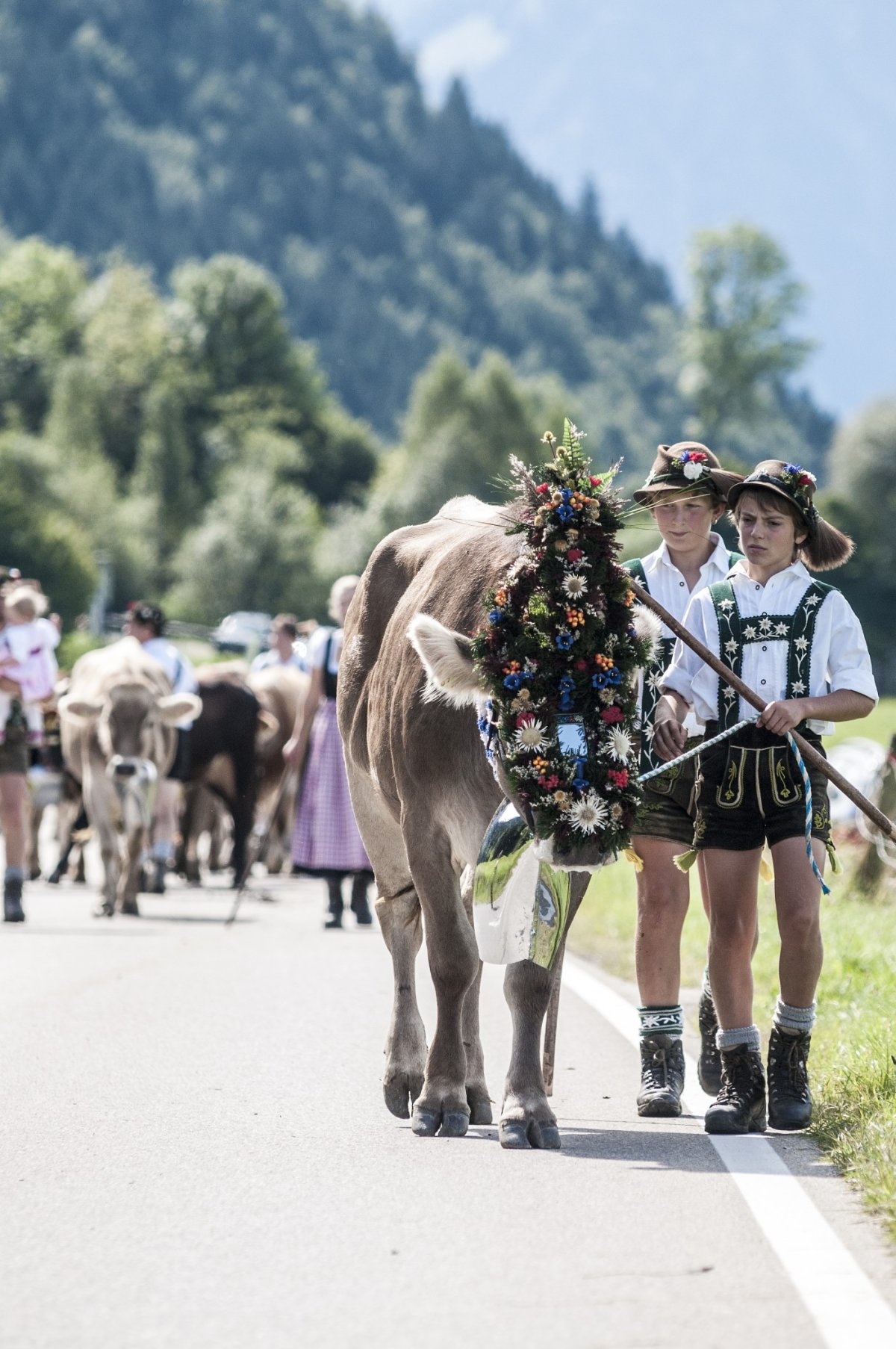 Viehscheid Schöllang
