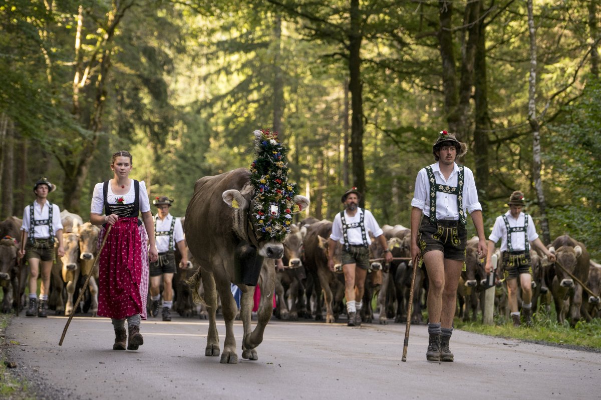 Viehscheid 2016