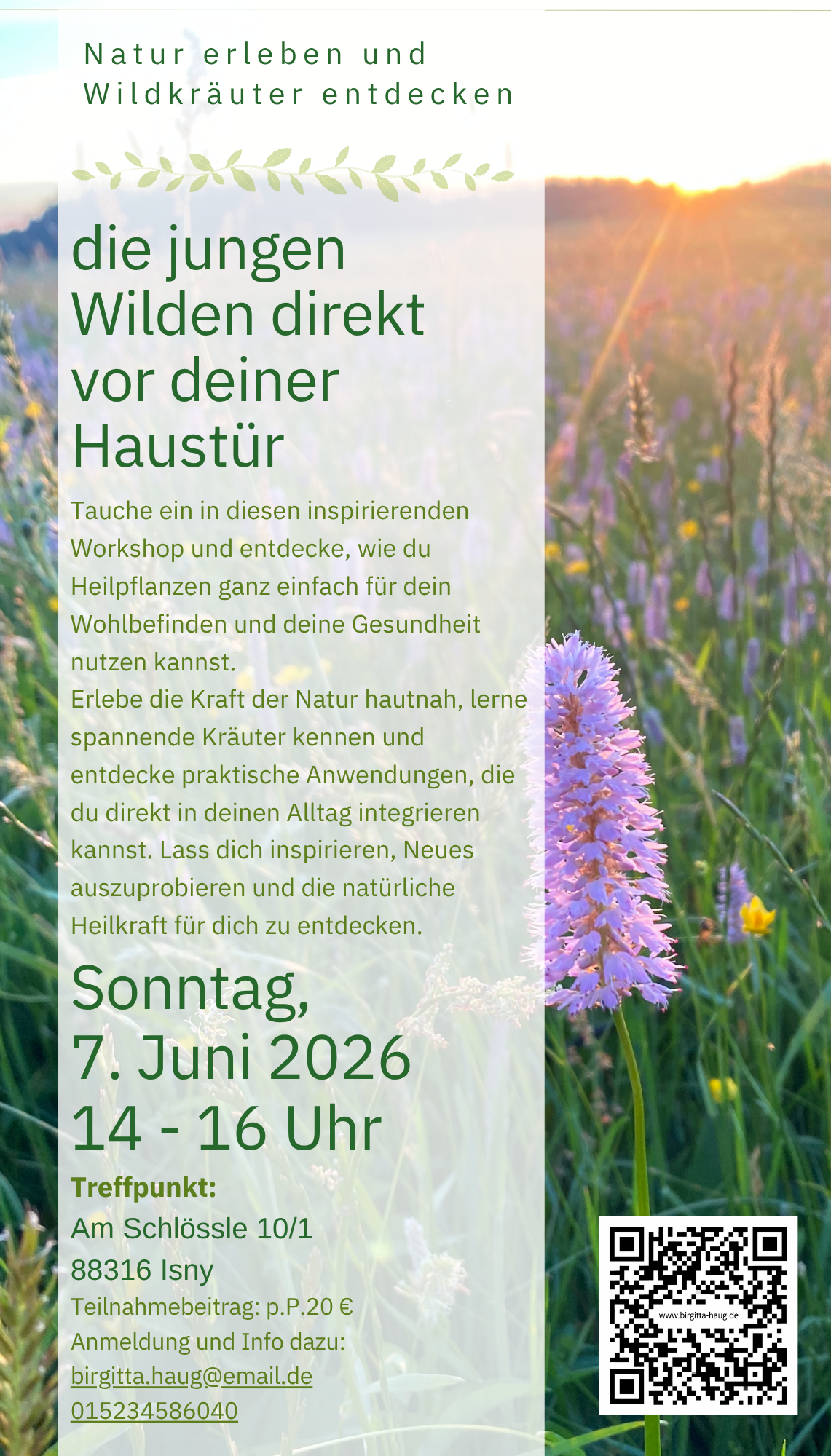 die jungen Wilden(1) die jungen Wilden(1)