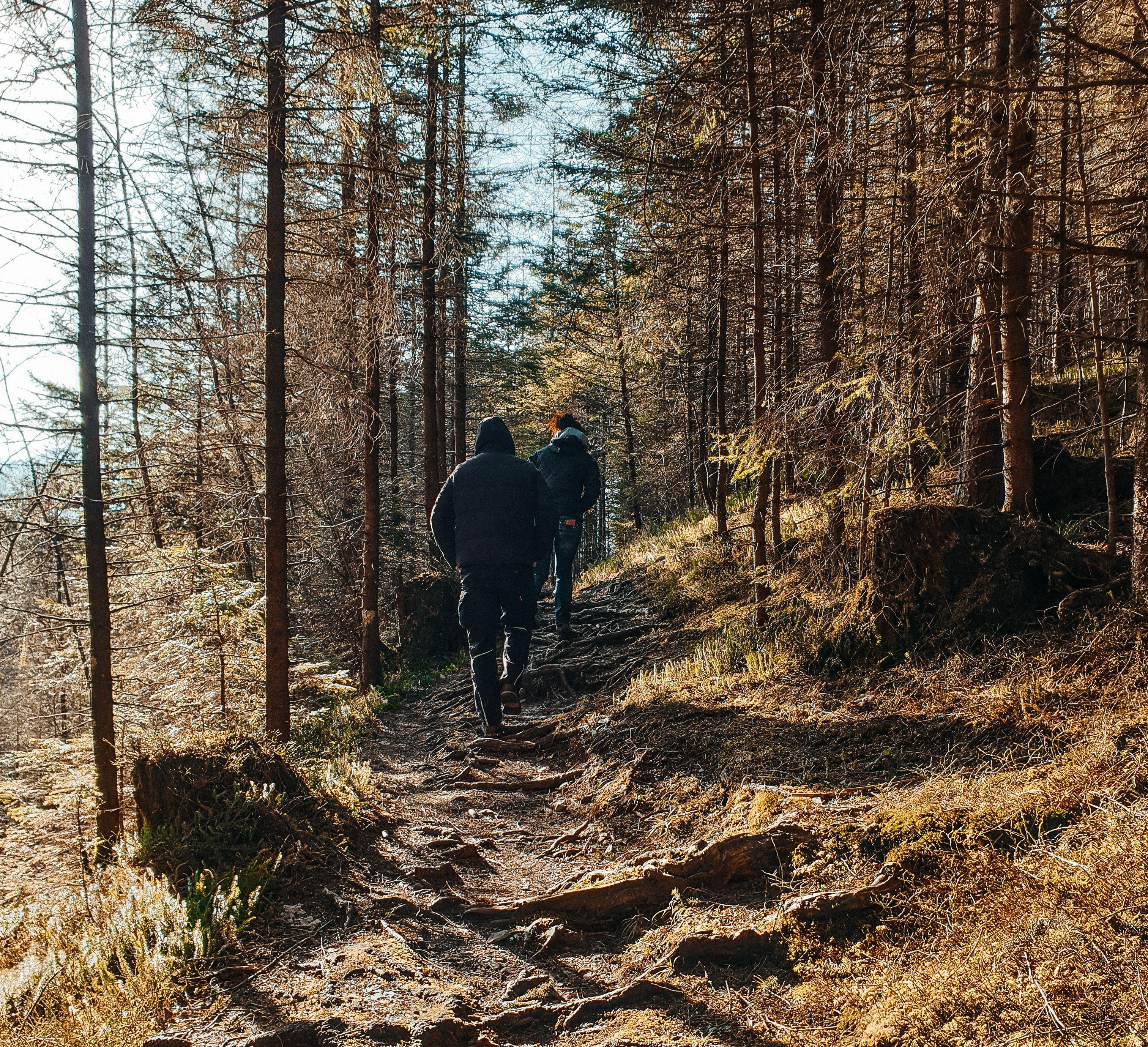 Wanderung zur Quelle