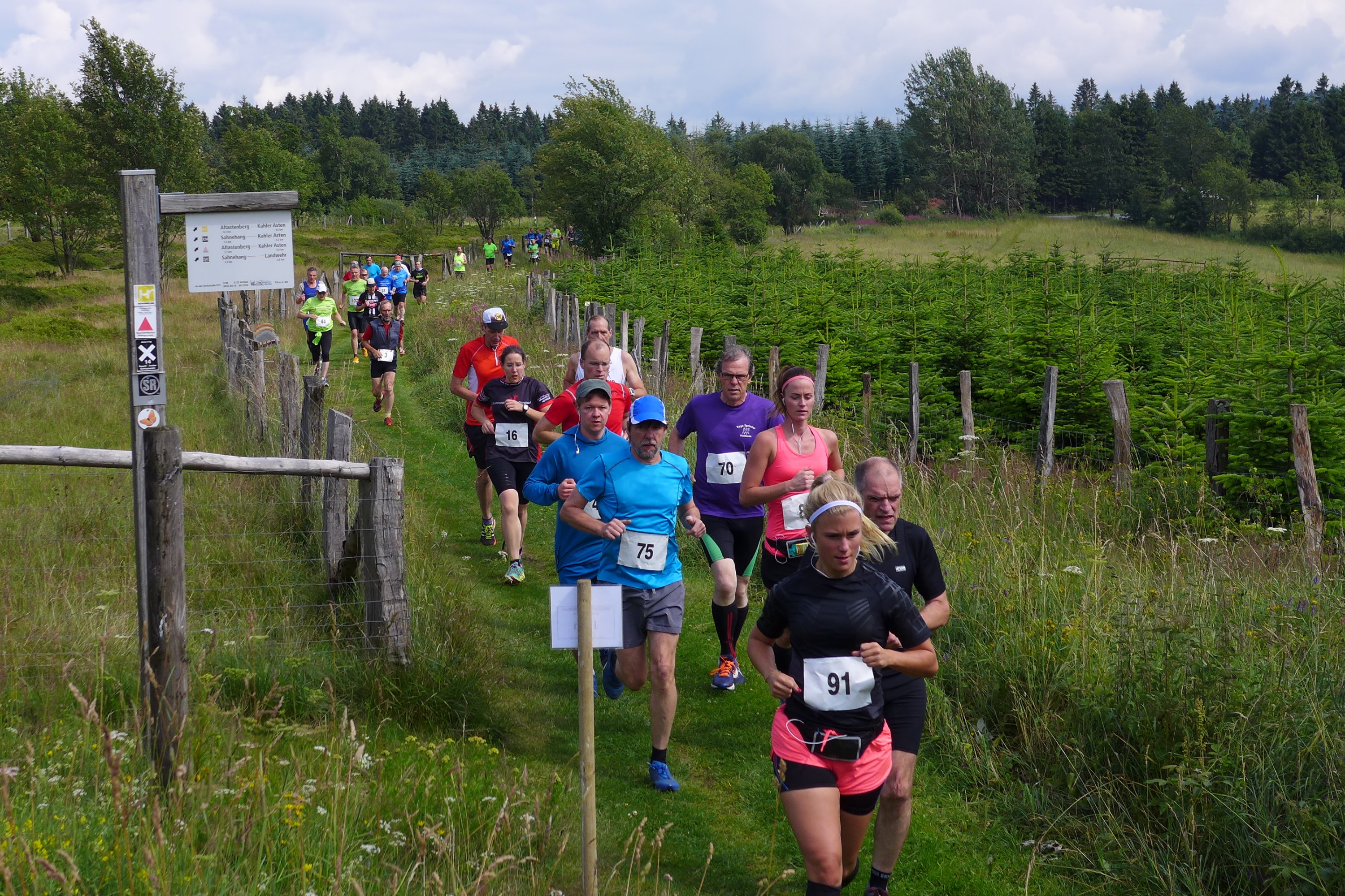 Hochsauerlandlauf_Pressefoto.jpg