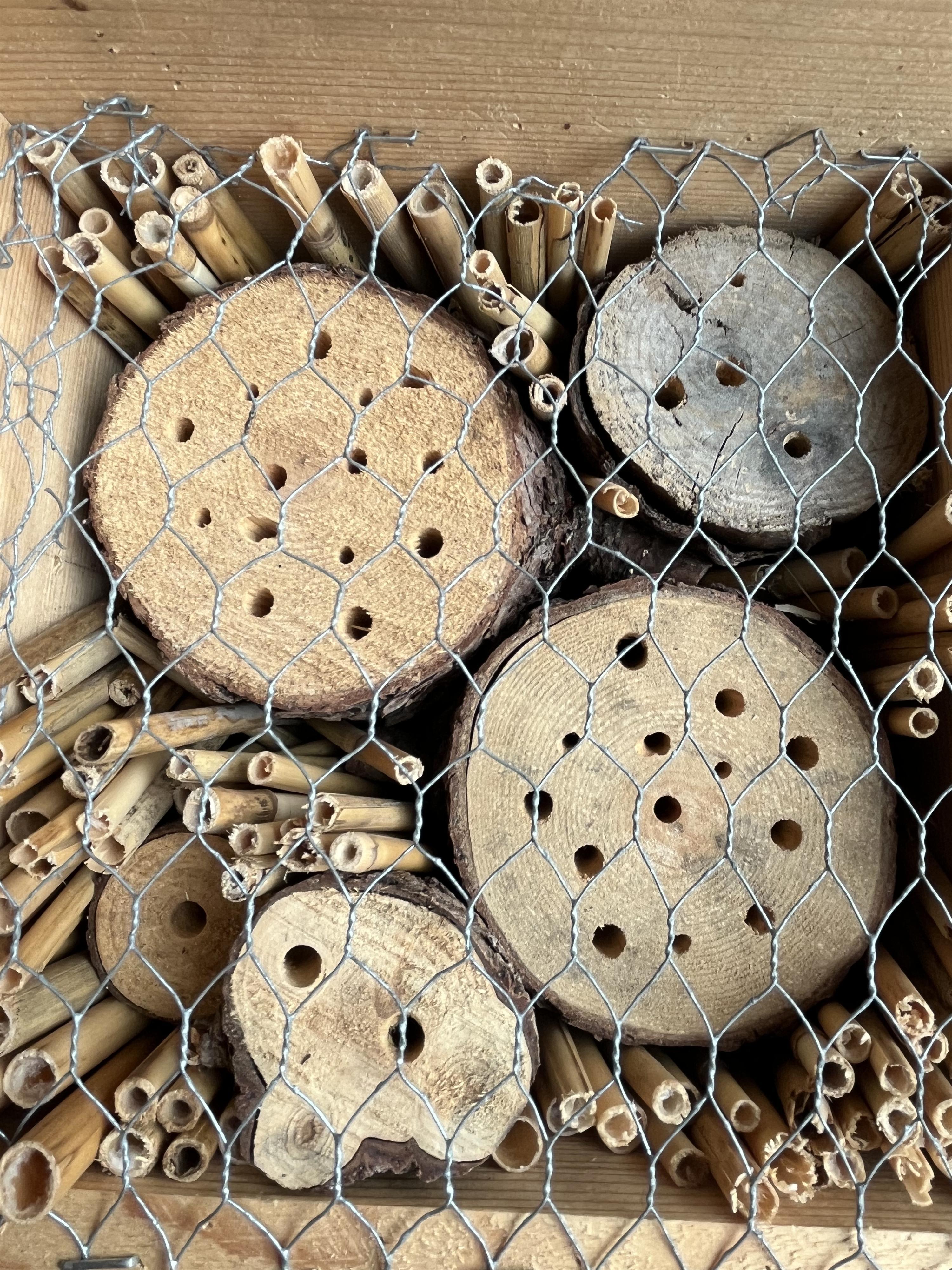 Insektenhotel bauen