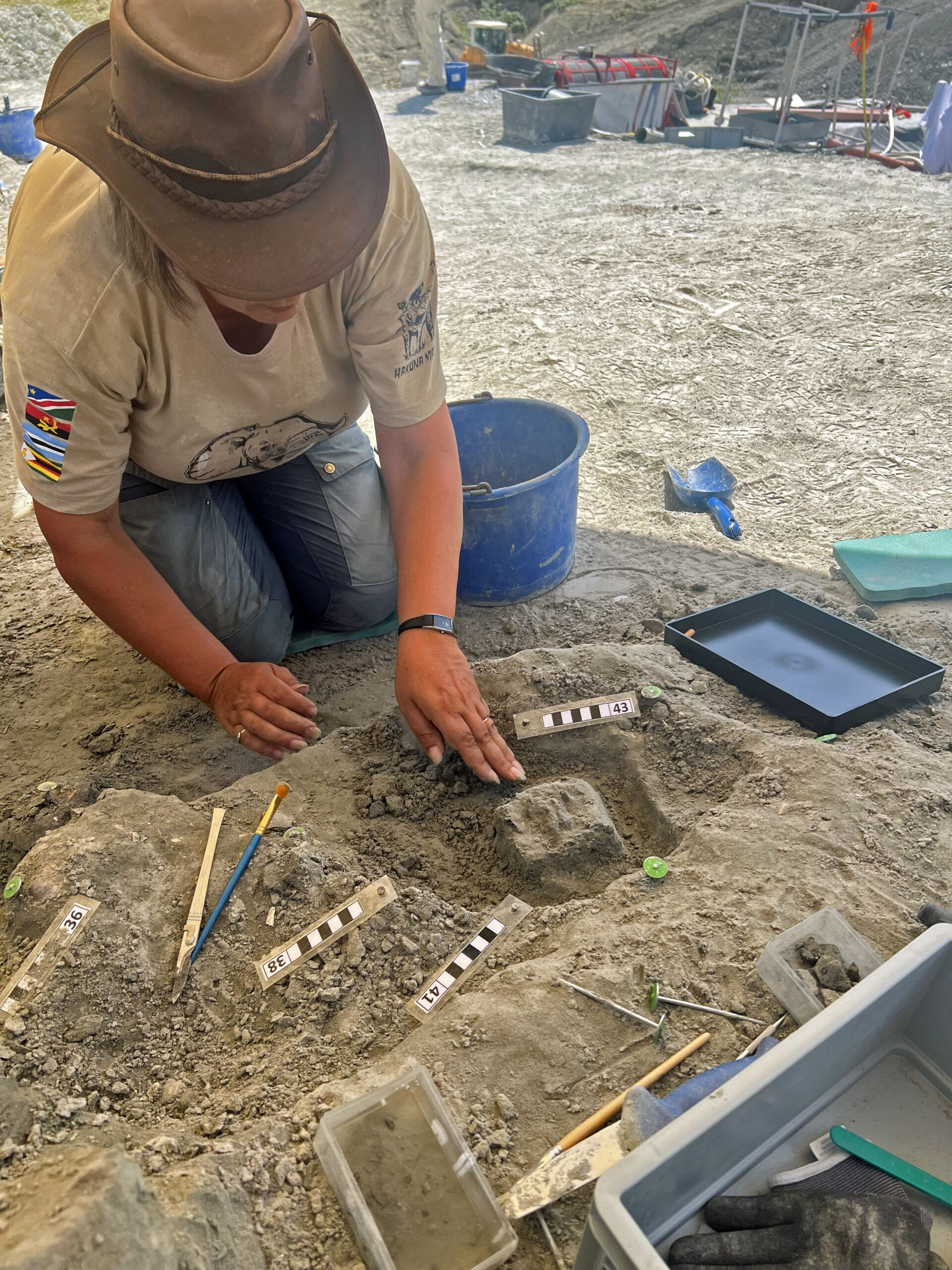 Bild 1 Bild 1