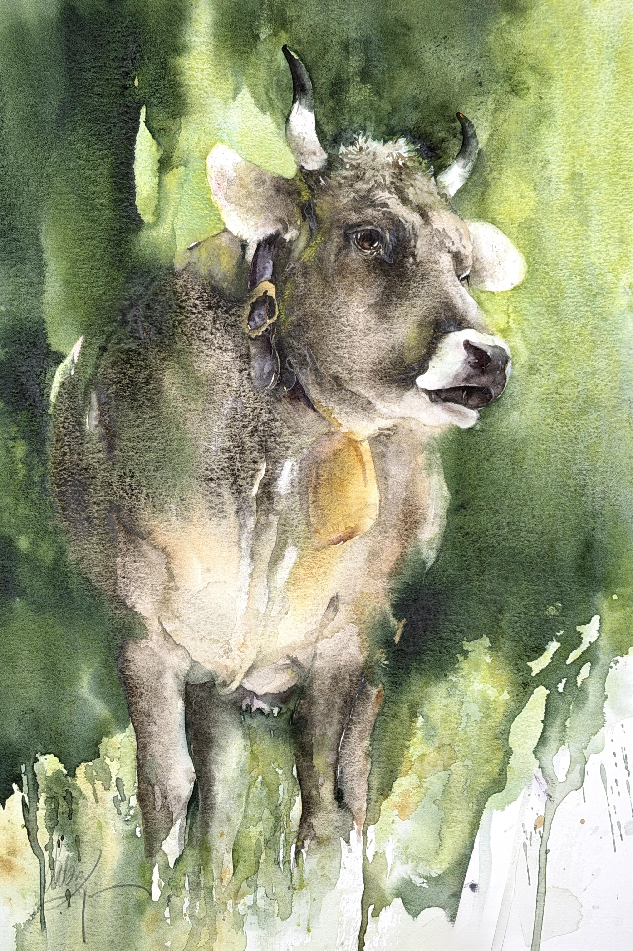 Braunvieh Braunvieh