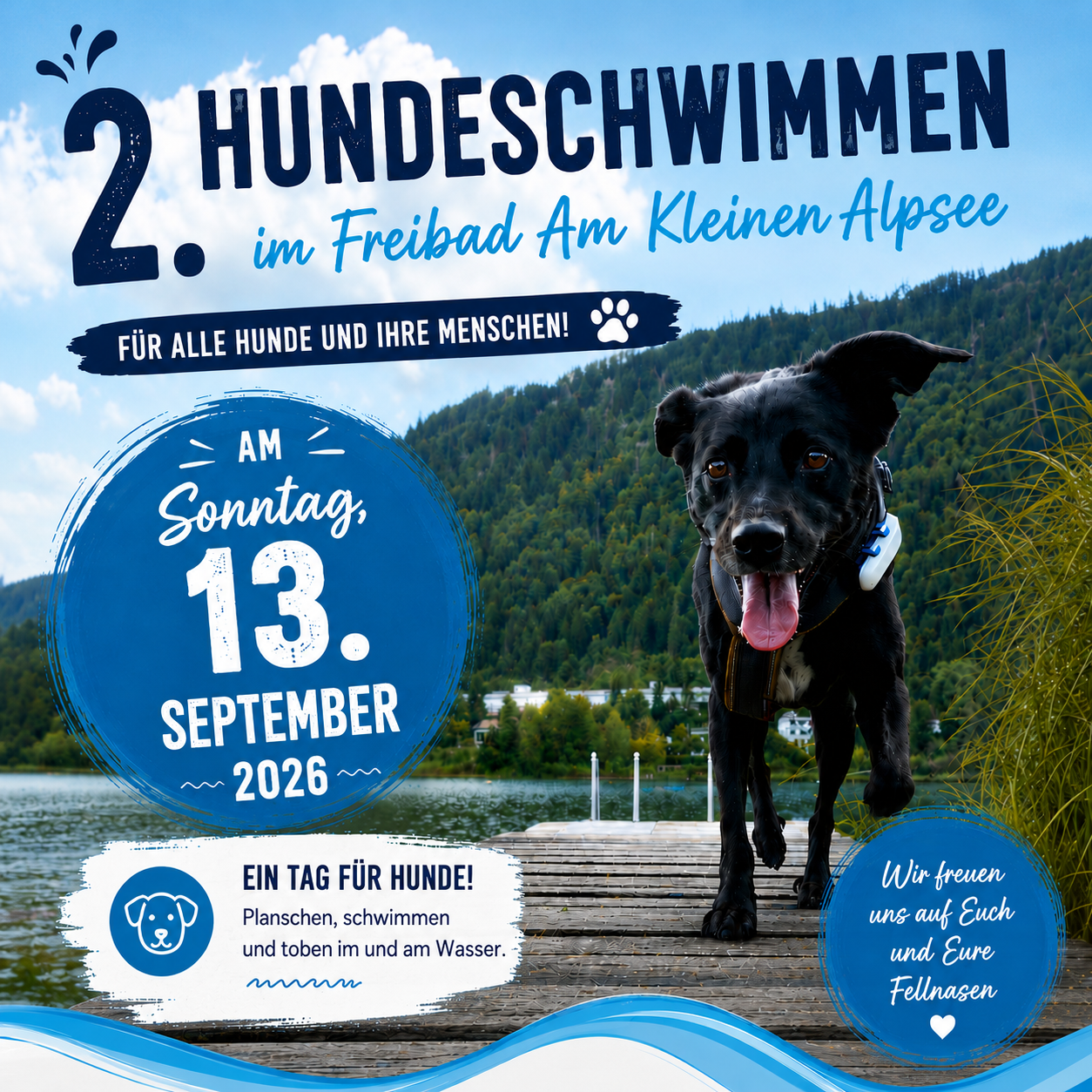 2. Hundeschwimmen 2. Hundeschwimmen