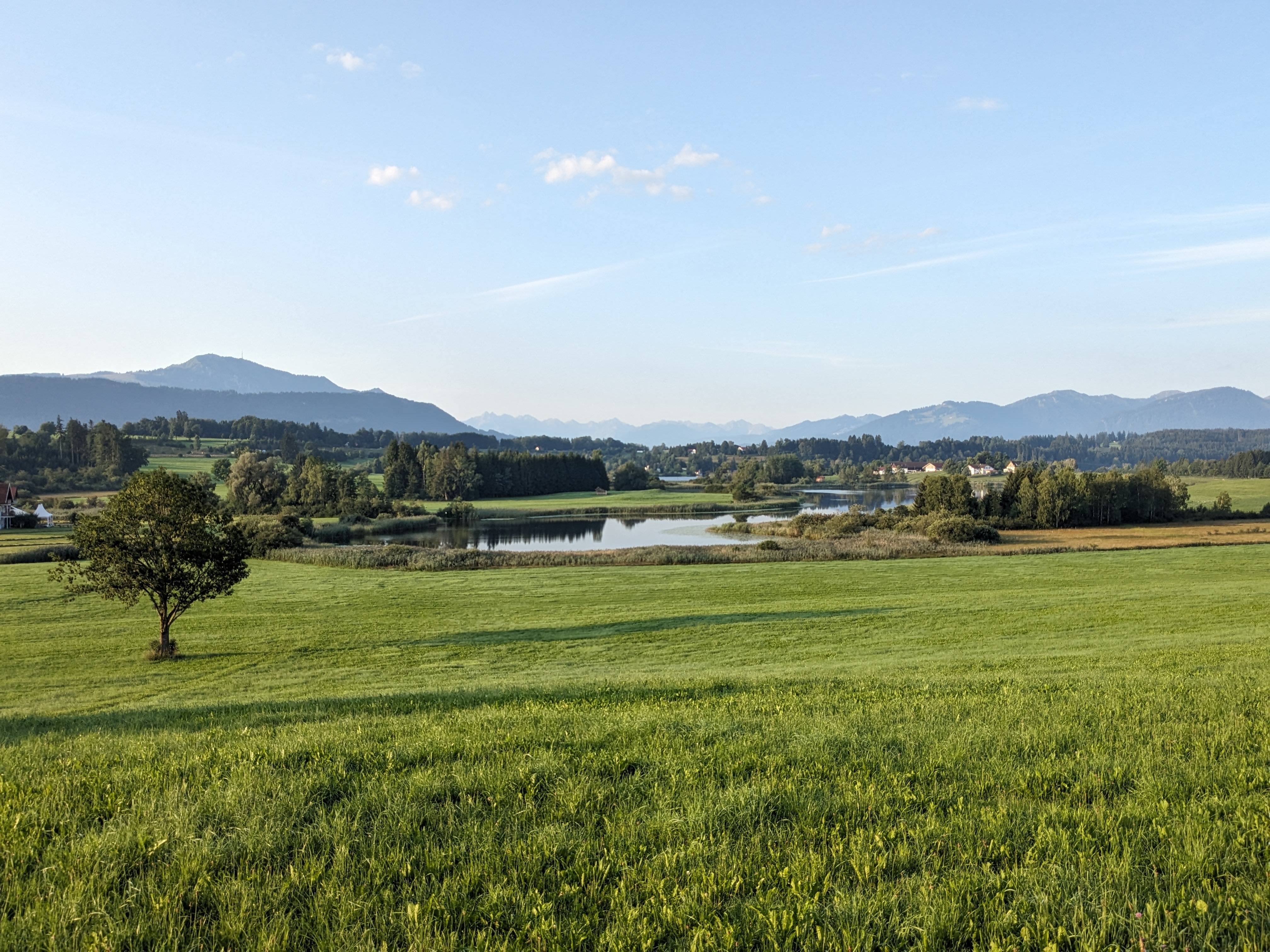 26.02.2026_Waltenhofen_Niesosee_Allgäuer Seenland (2).jpg