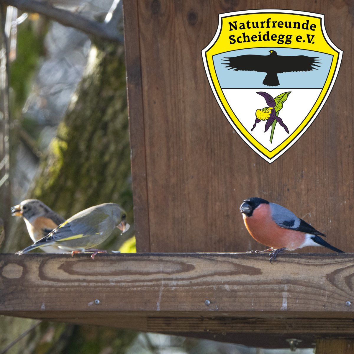 Bilder Juli futterhaus.Wanderung