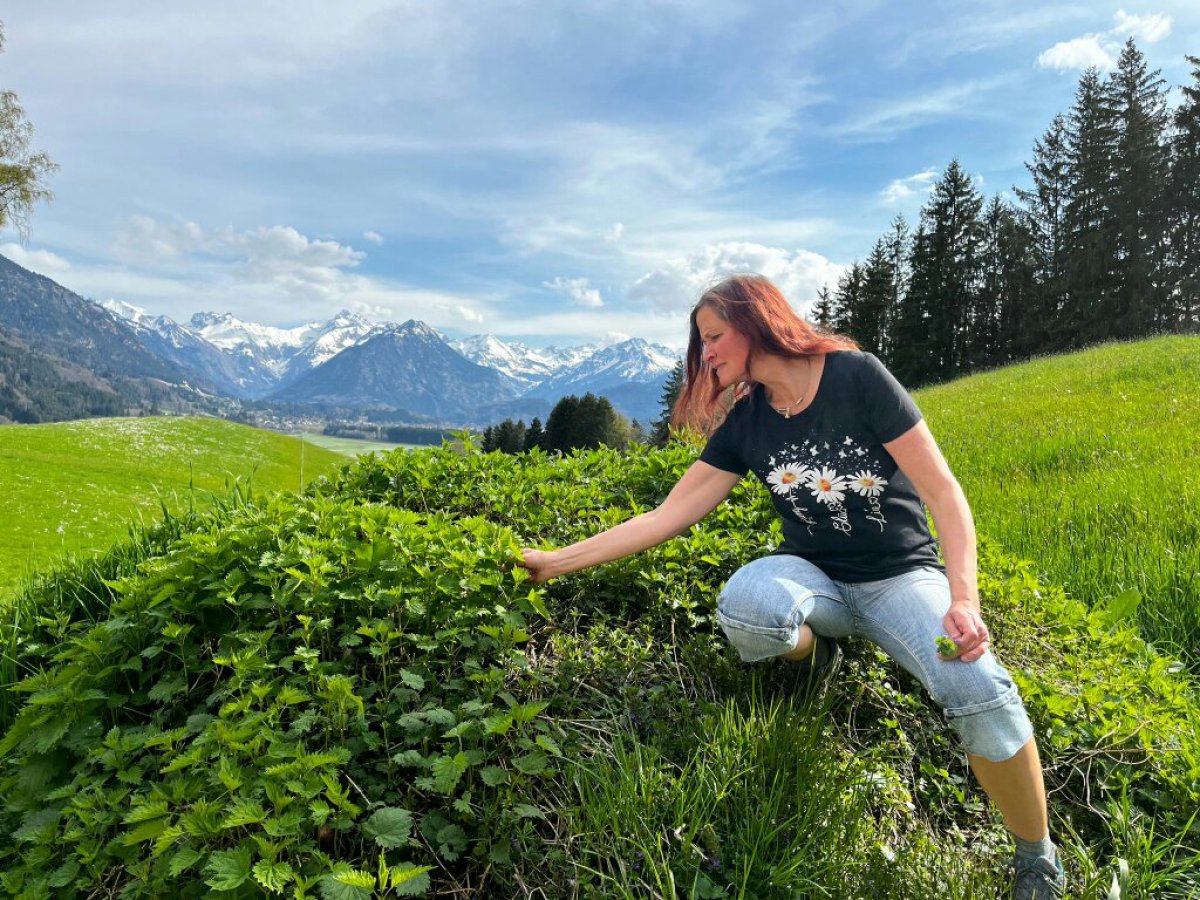 Kräuterwanderung