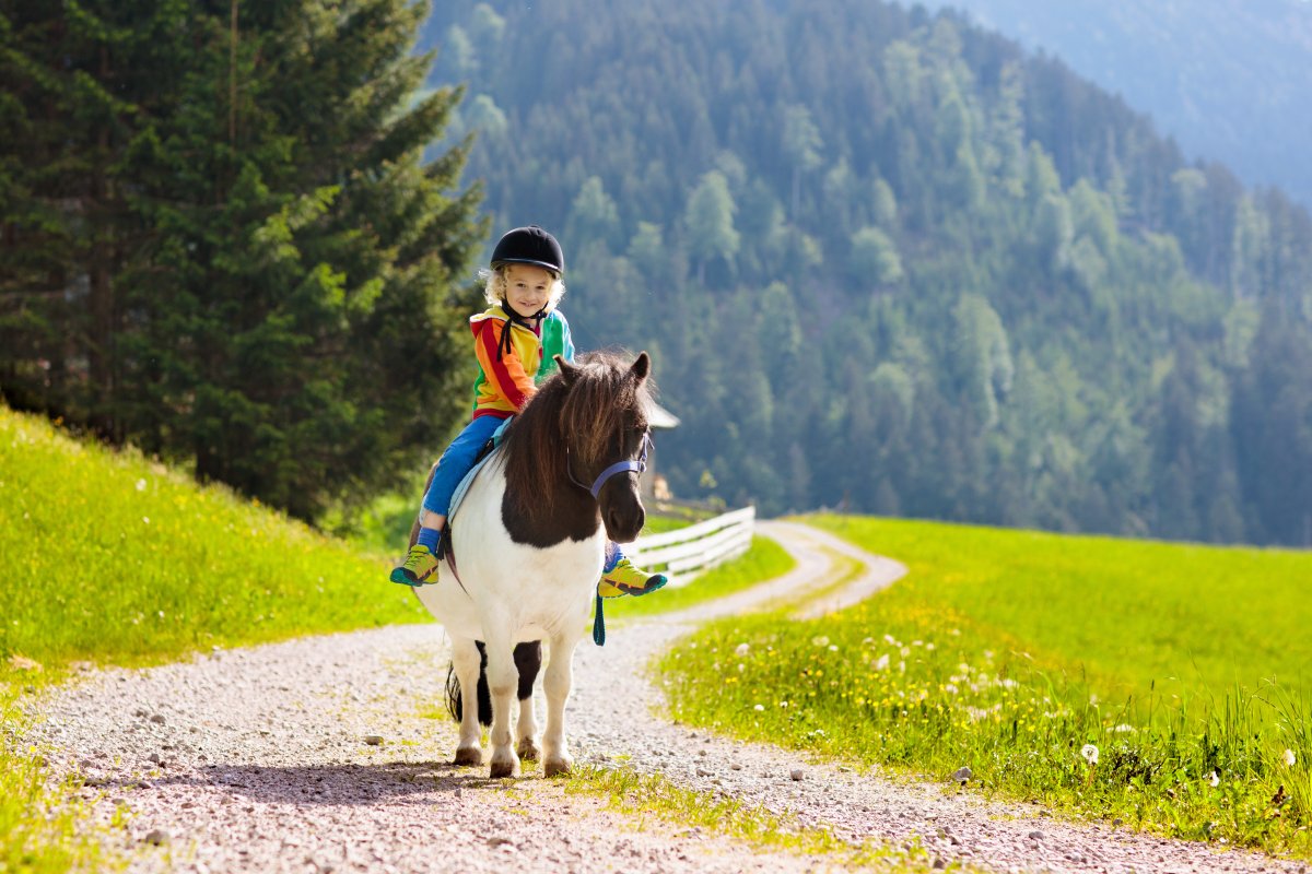 Ponyreiten