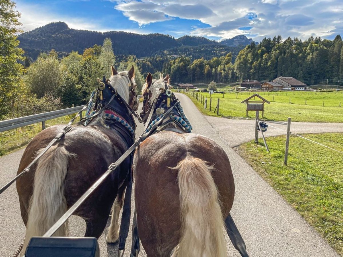 Durch's Breitachtal