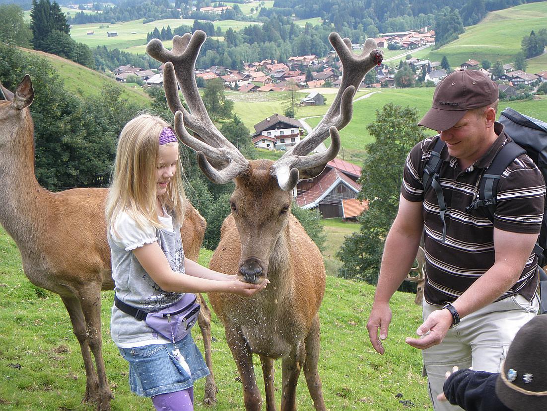Die Erlebnisfütterung der Wildtiere und eine kl... Die Erlebnisfütterung der Wildtiere und eine kl...
